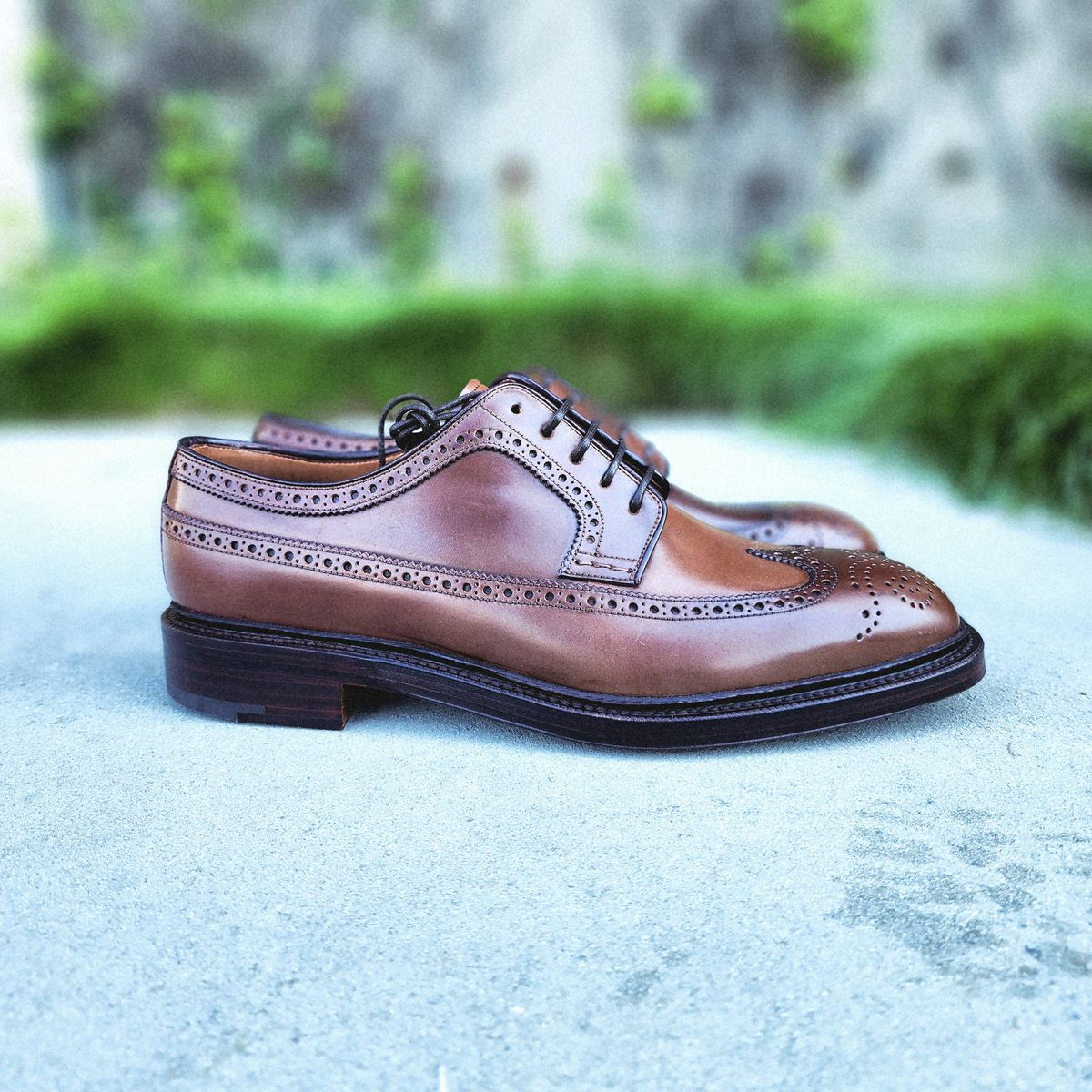 Photo by Janbiya on October 5, 2025 of the Carmina Long Wing Blucher Shoes 532 in Horween Armagnac Shell Cordovan.