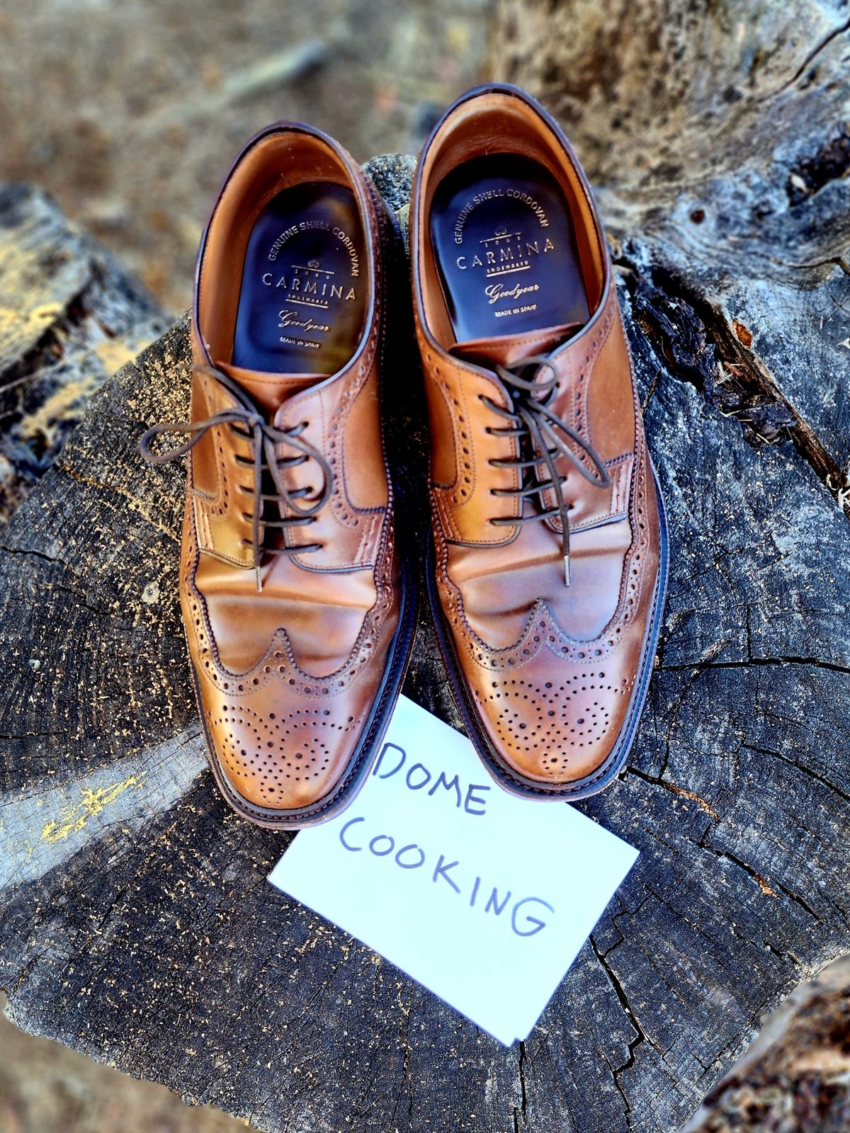 Photo by Janbiya on November 1, 2025 of the Carmina Long Wing Blucher Shoes 532 in Horween Armagnac Shell Cordovan.