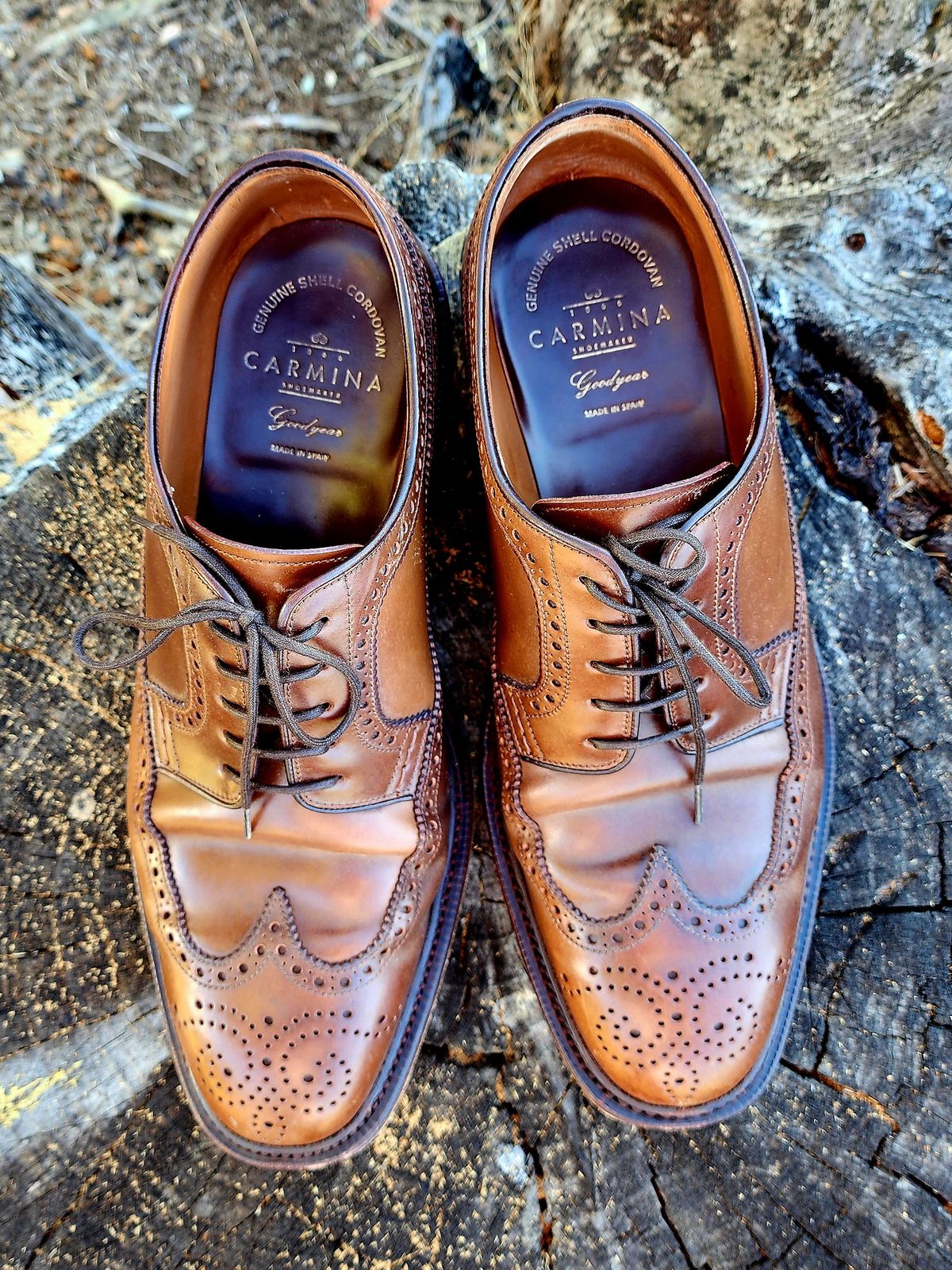 Photo by Janbiya on November 1, 2025 of the Carmina Long Wing Blucher Shoes 532 in Horween Armagnac Shell Cordovan.