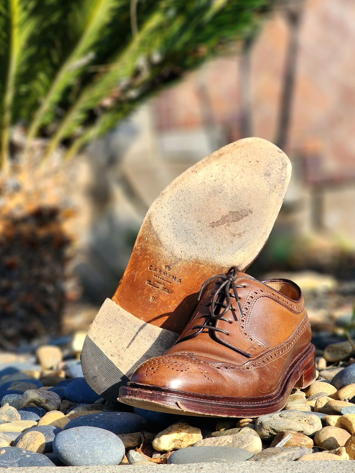 Photo by Janbiya on November 29, 2025 of the Carmina Long Wing Blucher Shoes 532 in Horween Armagnac Shell Cordovan.