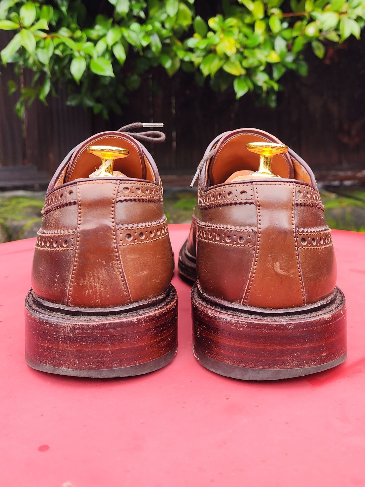 Photo by Janbiya on January 1, 2026 of the Carmina Long Wing Blucher Shoes 532 in Horween Armagnac Shell Cordovan.