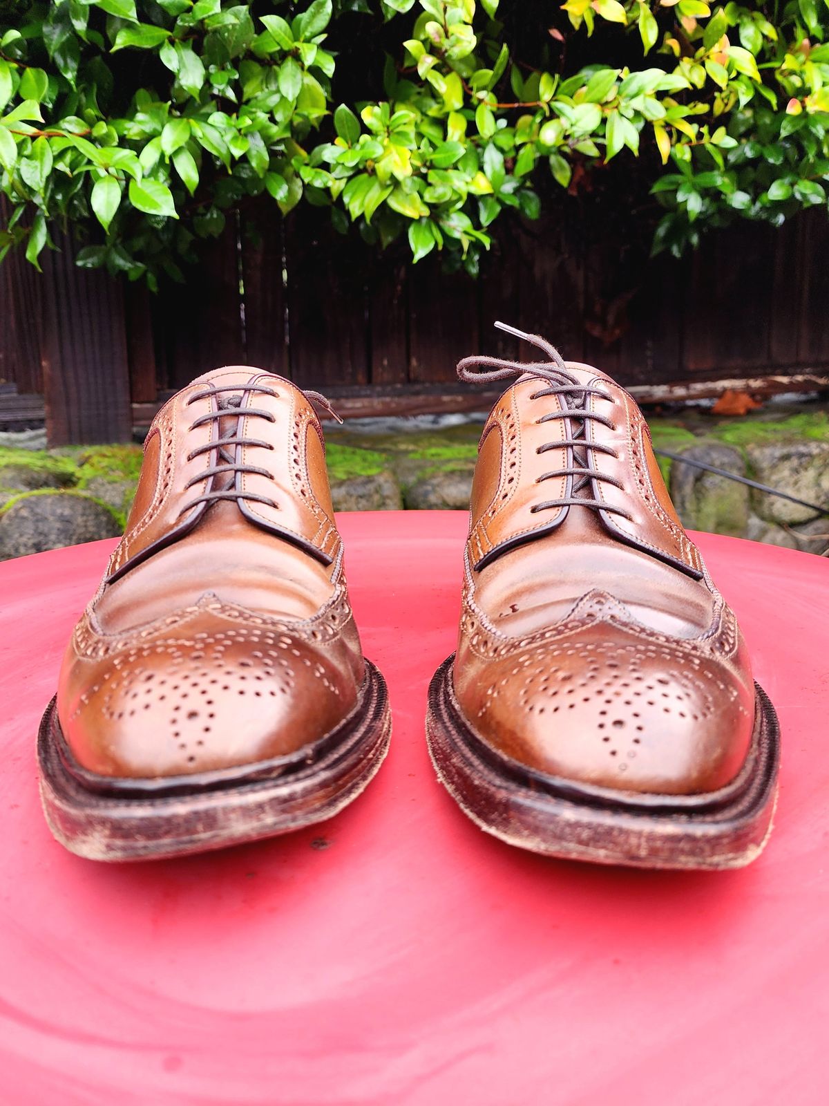 Photo by Janbiya on January 1, 2026 of the Carmina Long Wing Blucher Shoes 532 in Horween Armagnac Shell Cordovan.