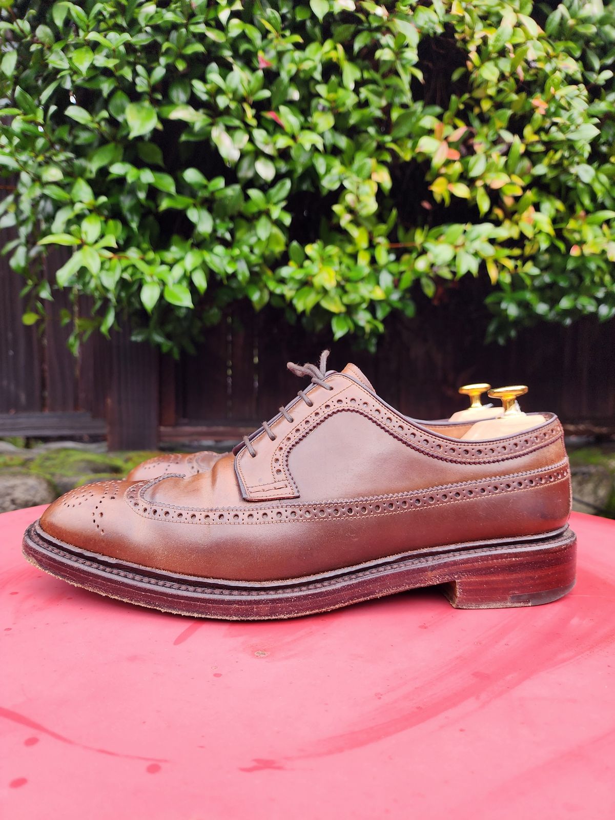 Photo by Janbiya on January 1, 2026 of the Carmina Long Wing Blucher Shoes 532 in Horween Armagnac Shell Cordovan.