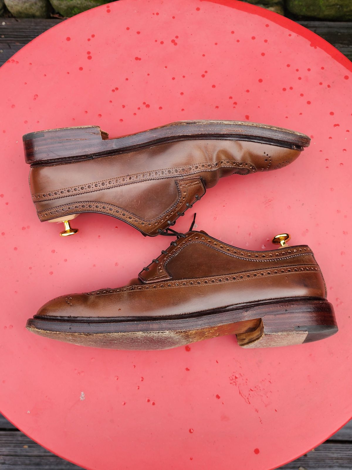 Photo by Janbiya on January 1, 2026 of the Carmina Long Wing Blucher Shoes 532 in Horween Armagnac Shell Cordovan.