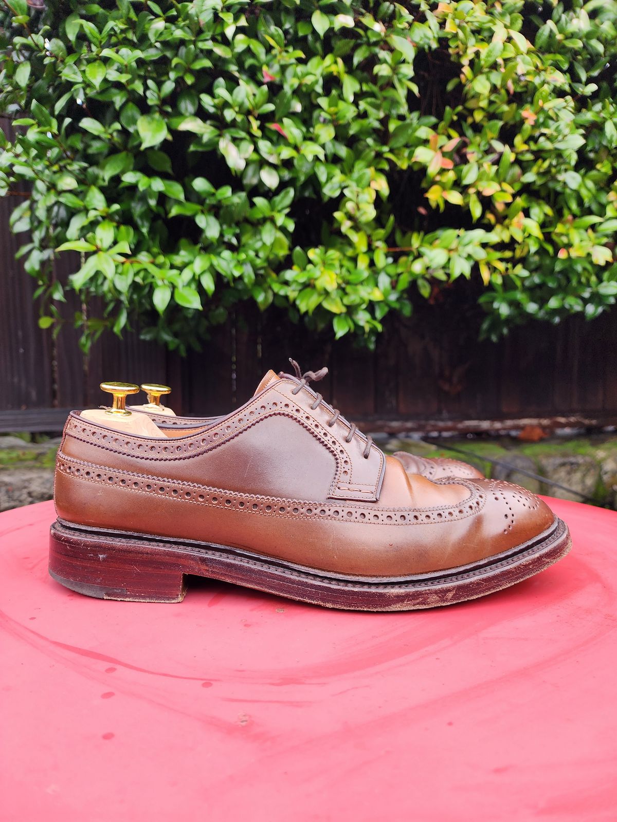 Photo by Janbiya on January 1, 2026 of the Carmina Long Wing Blucher Shoes 532 in Horween Armagnac Shell Cordovan.