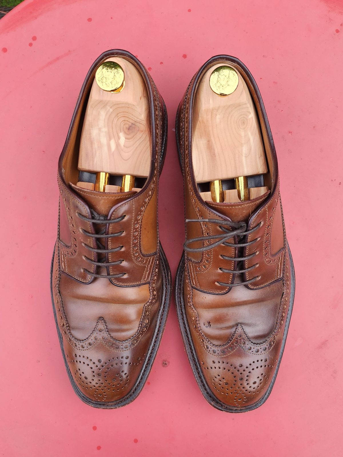 Photo by Janbiya on January 1, 2026 of the Carmina Long Wing Blucher Shoes 532 in Horween Armagnac Shell Cordovan.