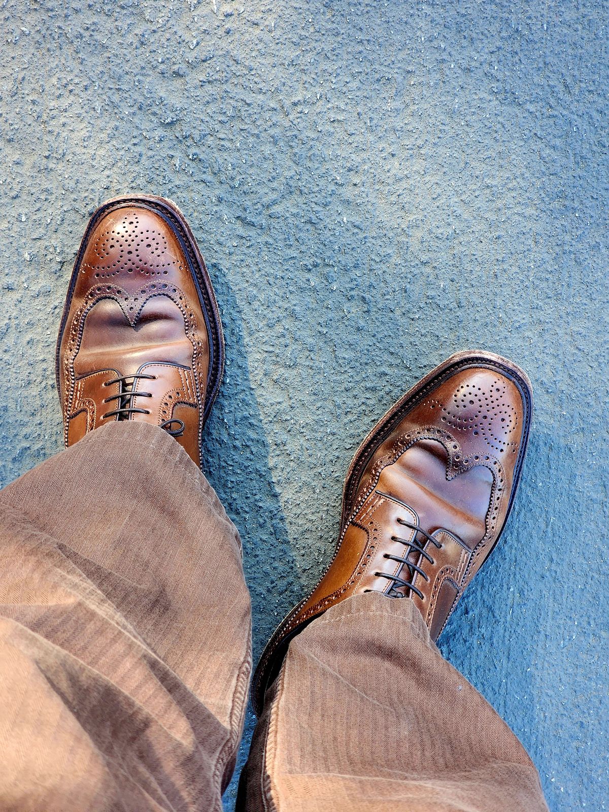 Photo by Janbiya on January 26, 2026 of the Carmina Long Wing Blucher Shoes 532 in Horween Armagnac Shell Cordovan.