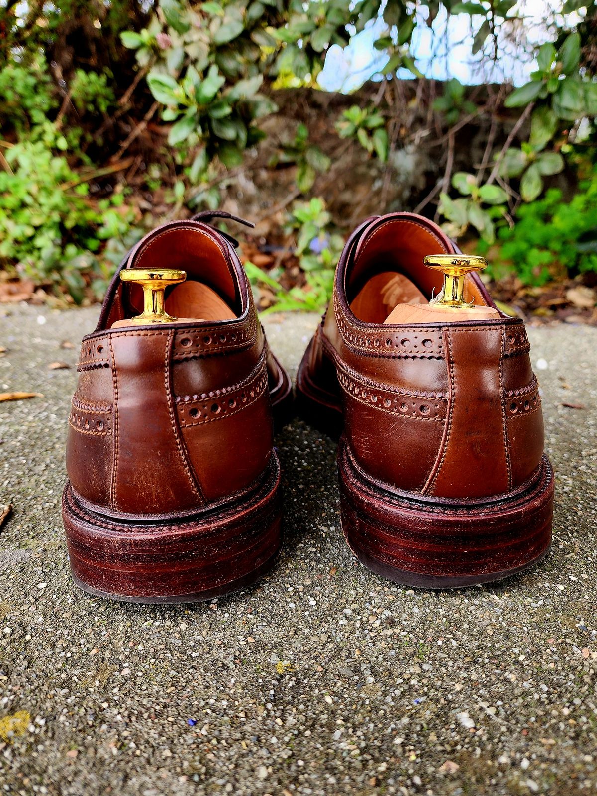 Photo by Janbiya on February 1, 2026 of the Carmina Long Wing Blucher Shoes 532 in Horween Armagnac Shell Cordovan.