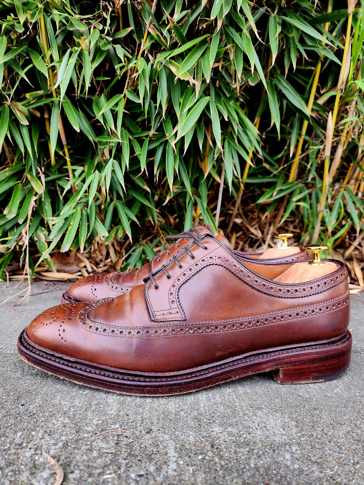 Photo by Janbiya on February 1, 2026 of the Carmina Long Wing Blucher Shoes 532 in Horween Armagnac Shell Cordovan.
