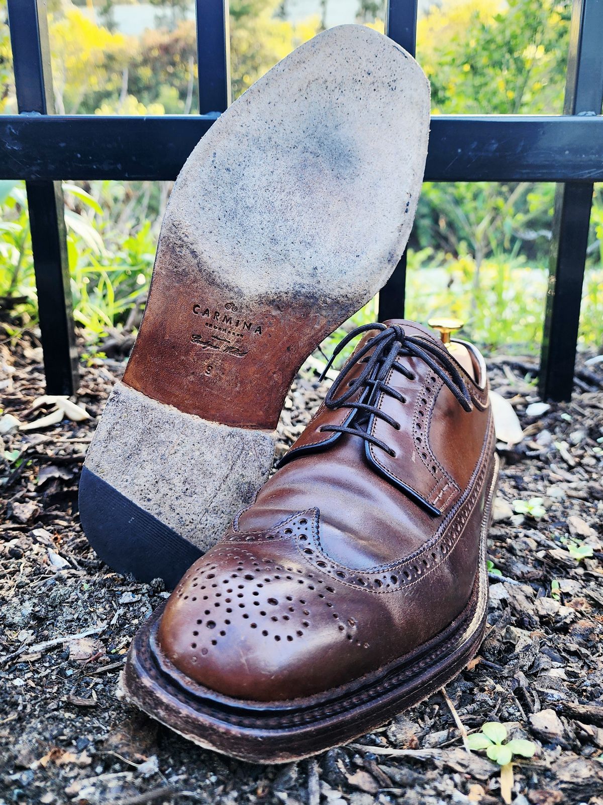 Photo by Janbiya on March 3, 2026 of the Carmina Long Wing Blucher Shoes 532 in Horween Armagnac Shell Cordovan.