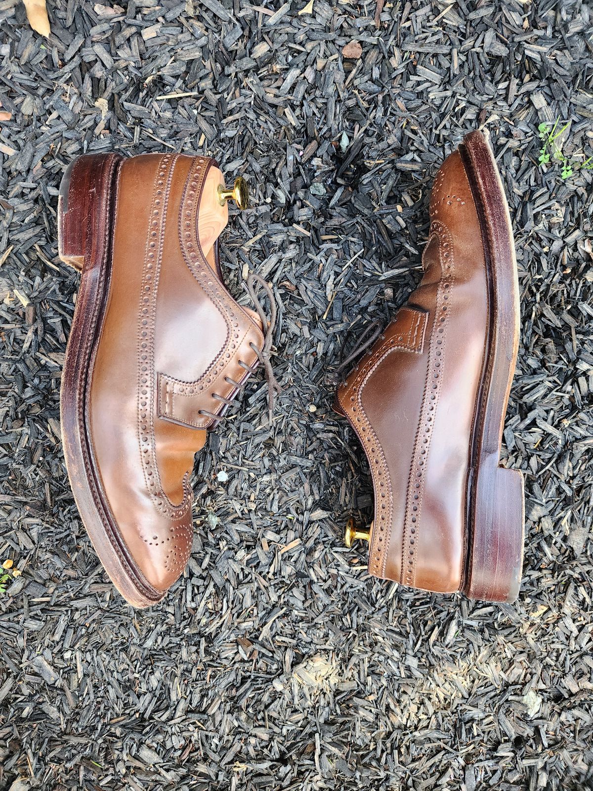 Photo by Janbiya on March 1, 2026 of the Carmina Long Wing Blucher Shoes 532 in Horween Armagnac Shell Cordovan.