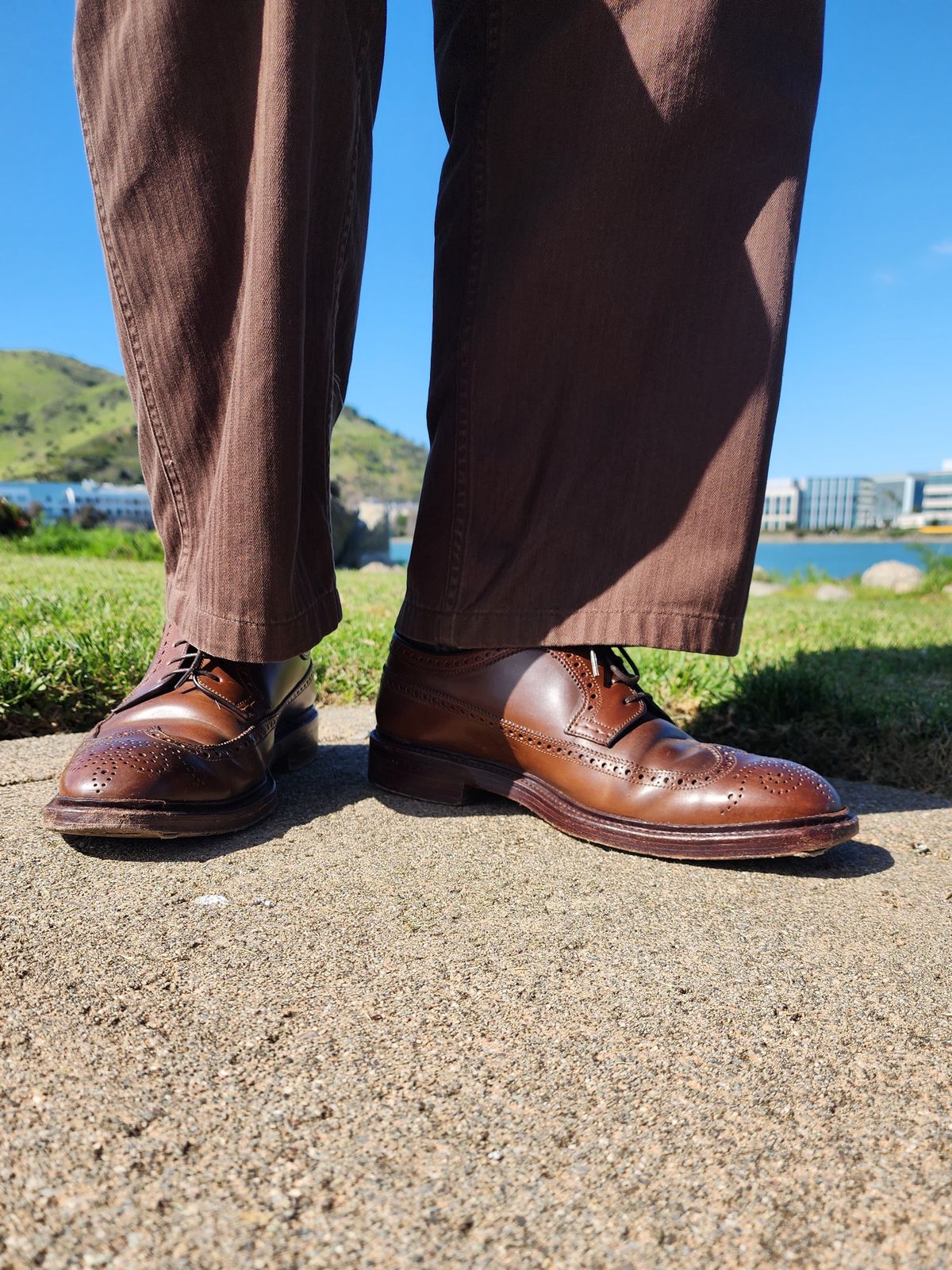 Photo by Janbiya on March 5, 2026 of the Carmina Long Wing Blucher Shoes 532 in Horween Armagnac Shell Cordovan.
