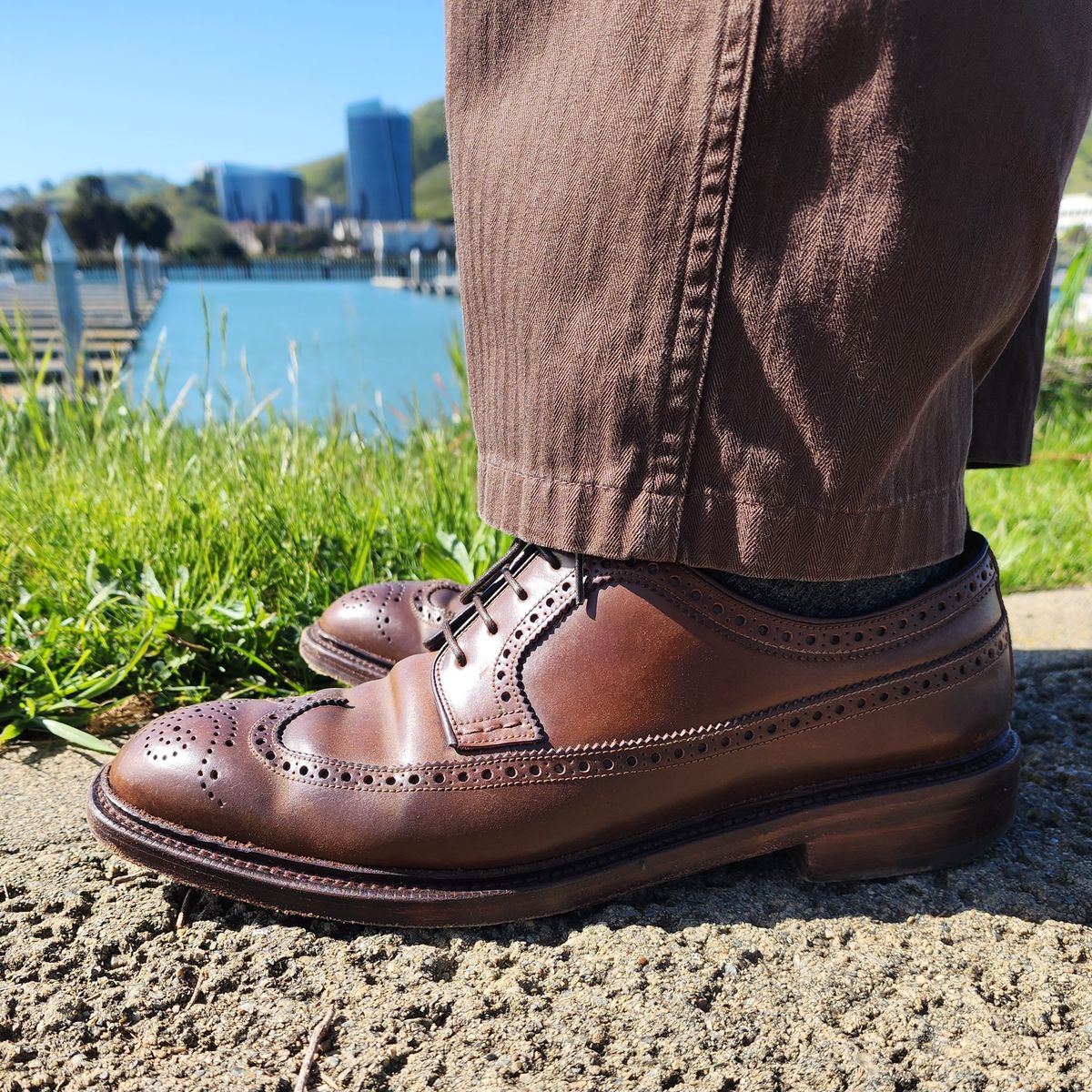 Photo by Janbiya on March 5, 2026 of the Carmina Long Wing Blucher Shoes 532 in Horween Armagnac Shell Cordovan.