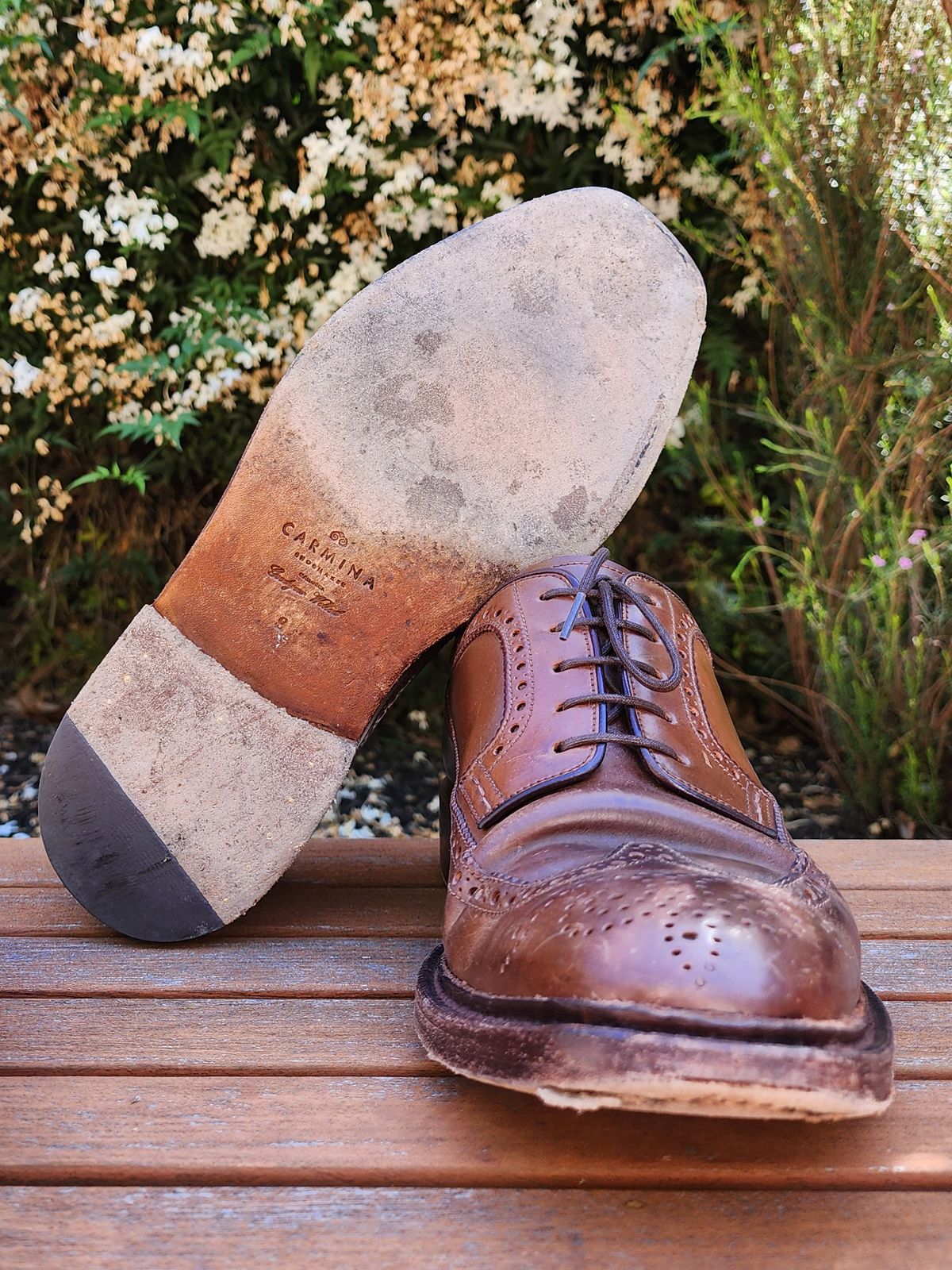 Photo by Janbiya on April 4, 2026 of the Carmina Long Wing Blucher Shoes 532 in Horween Armagnac Shell Cordovan.