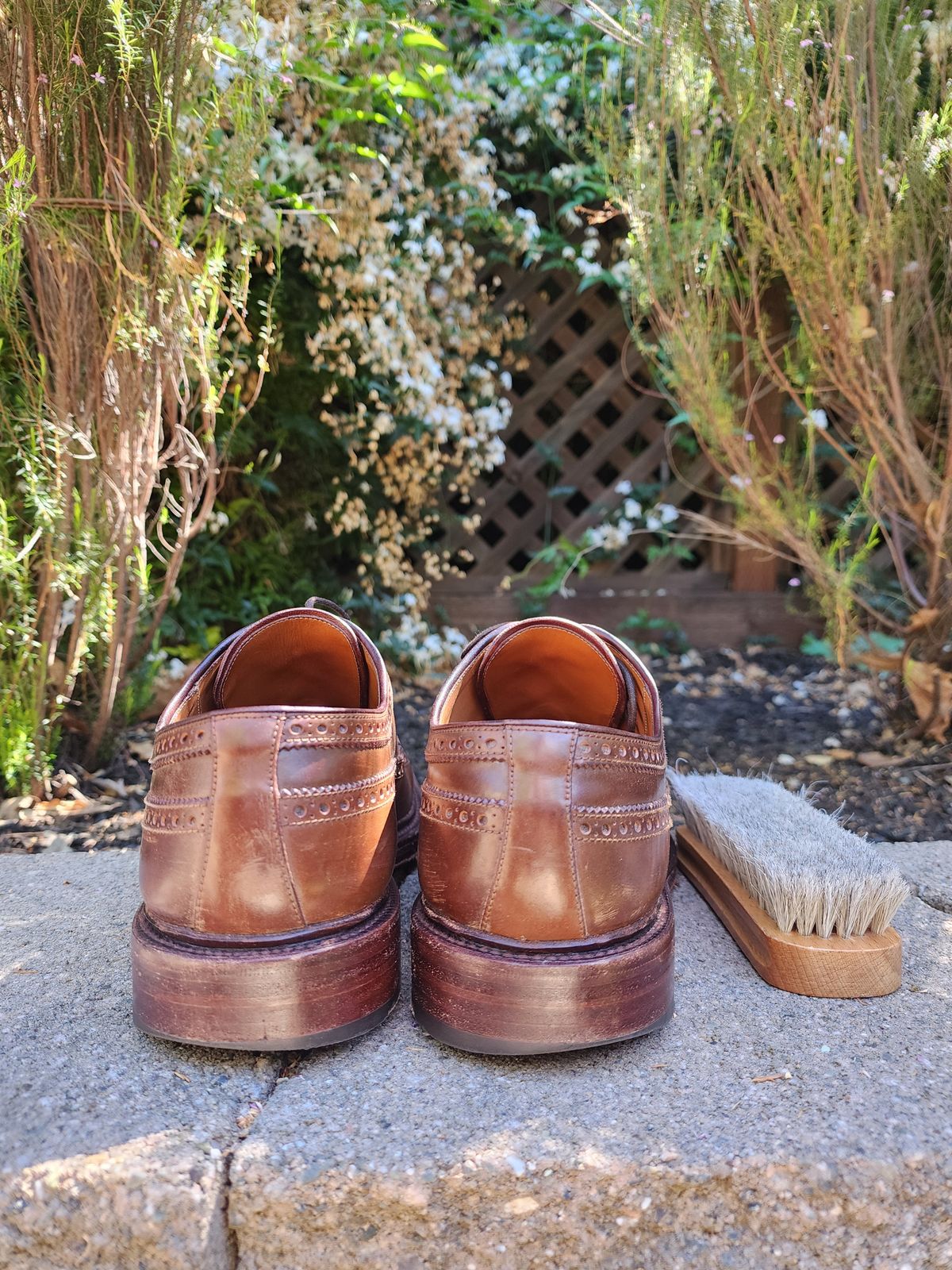Photo by Janbiya on April 4, 2026 of the Carmina Long Wing Blucher Shoes 532 in Horween Armagnac Shell Cordovan.