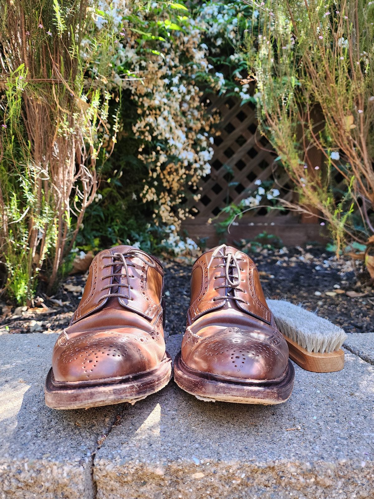 Photo by Janbiya on April 4, 2026 of the Carmina Long Wing Blucher Shoes 532 in Horween Armagnac Shell Cordovan.