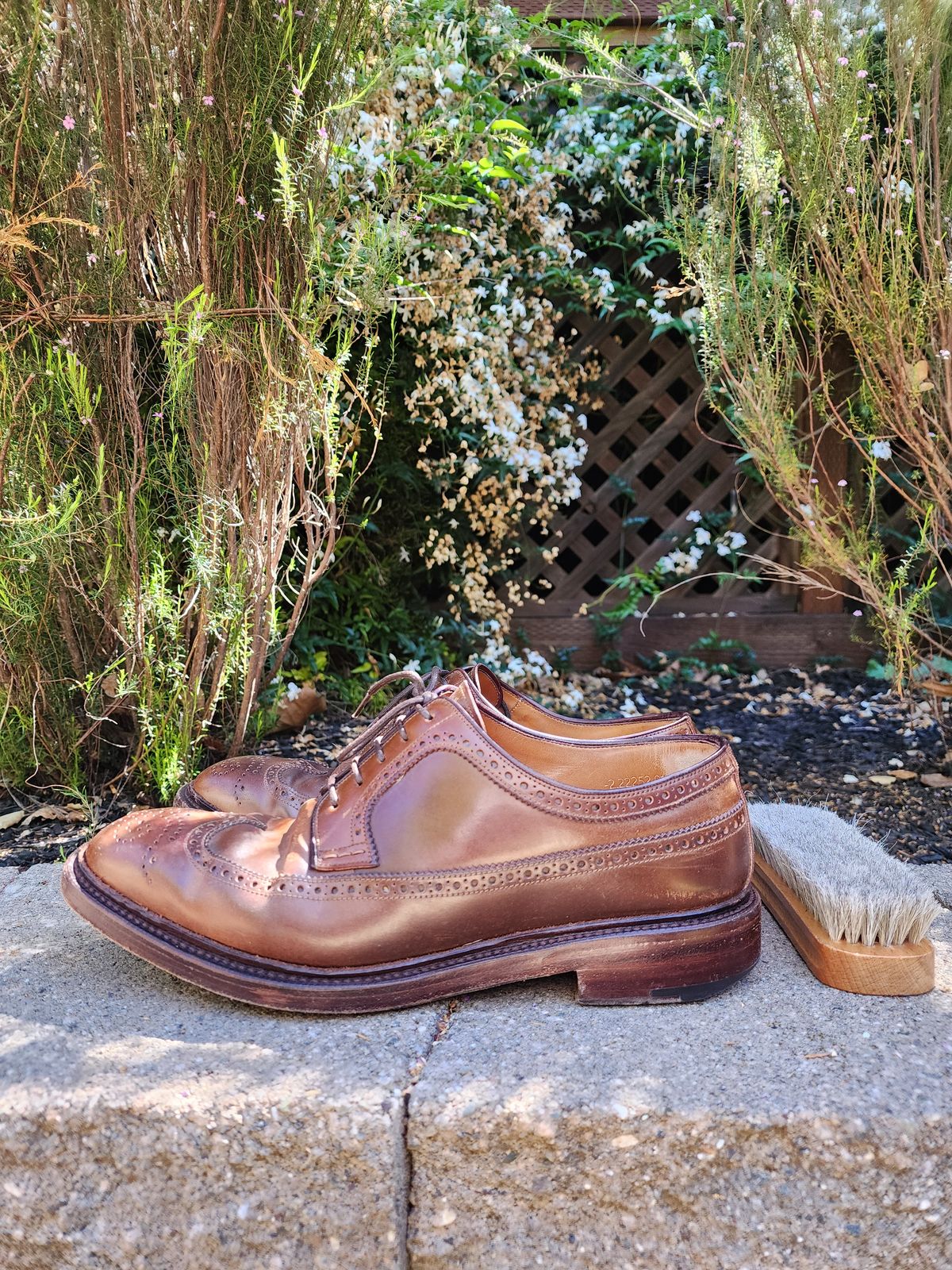 Photo by Janbiya on April 4, 2026 of the Carmina Long Wing Blucher Shoes 532 in Horween Armagnac Shell Cordovan.