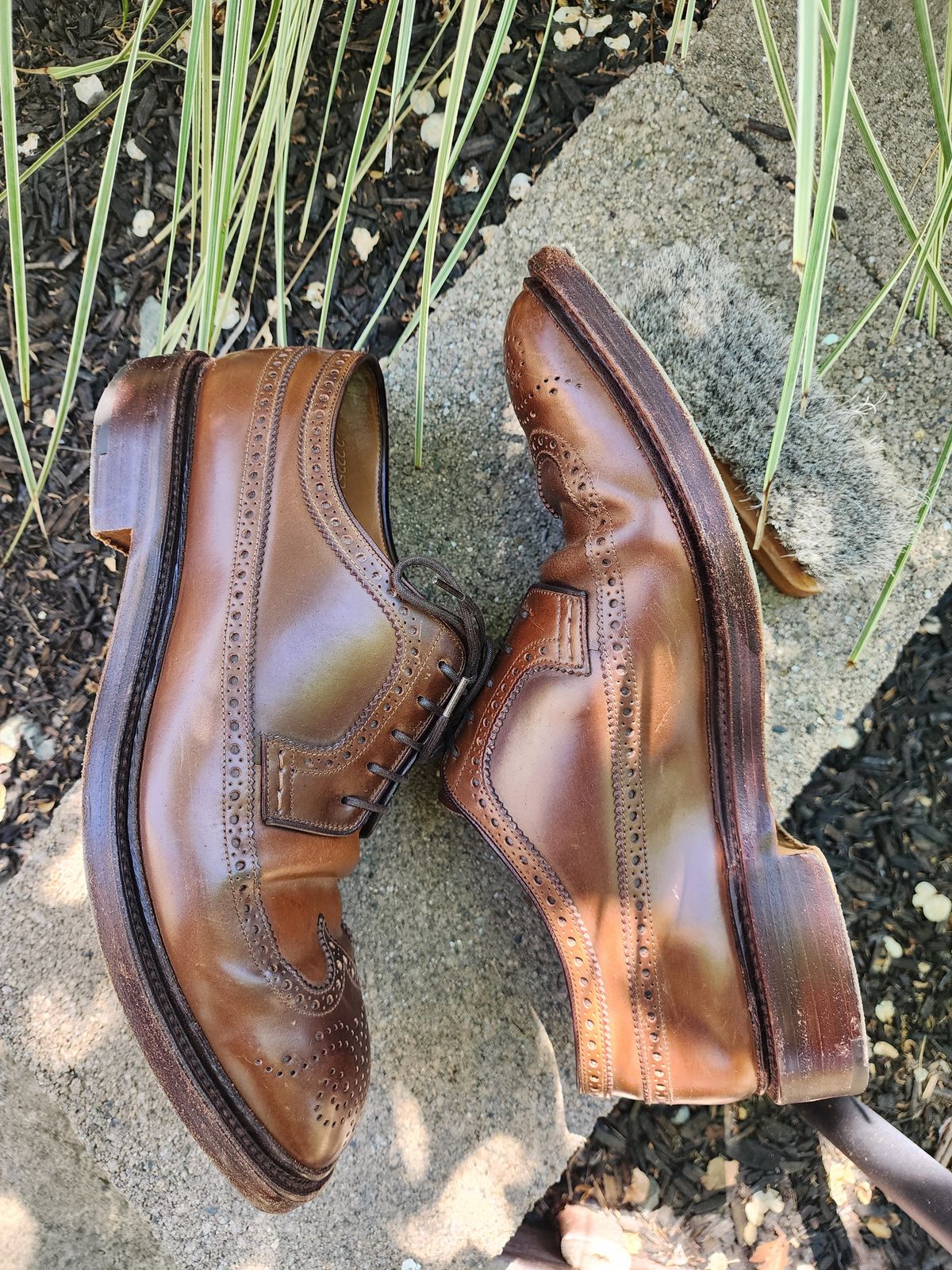 Photo by Janbiya on April 4, 2026 of the Carmina Long Wing Blucher Shoes 532 in Horween Armagnac Shell Cordovan.