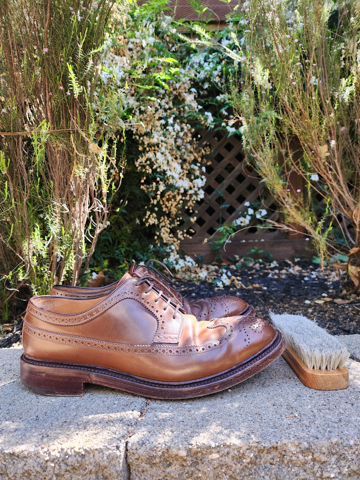 Photo by Janbiya on April 4, 2026 of the Carmina Long Wing Blucher Shoes 532 in Horween Armagnac Shell Cordovan.