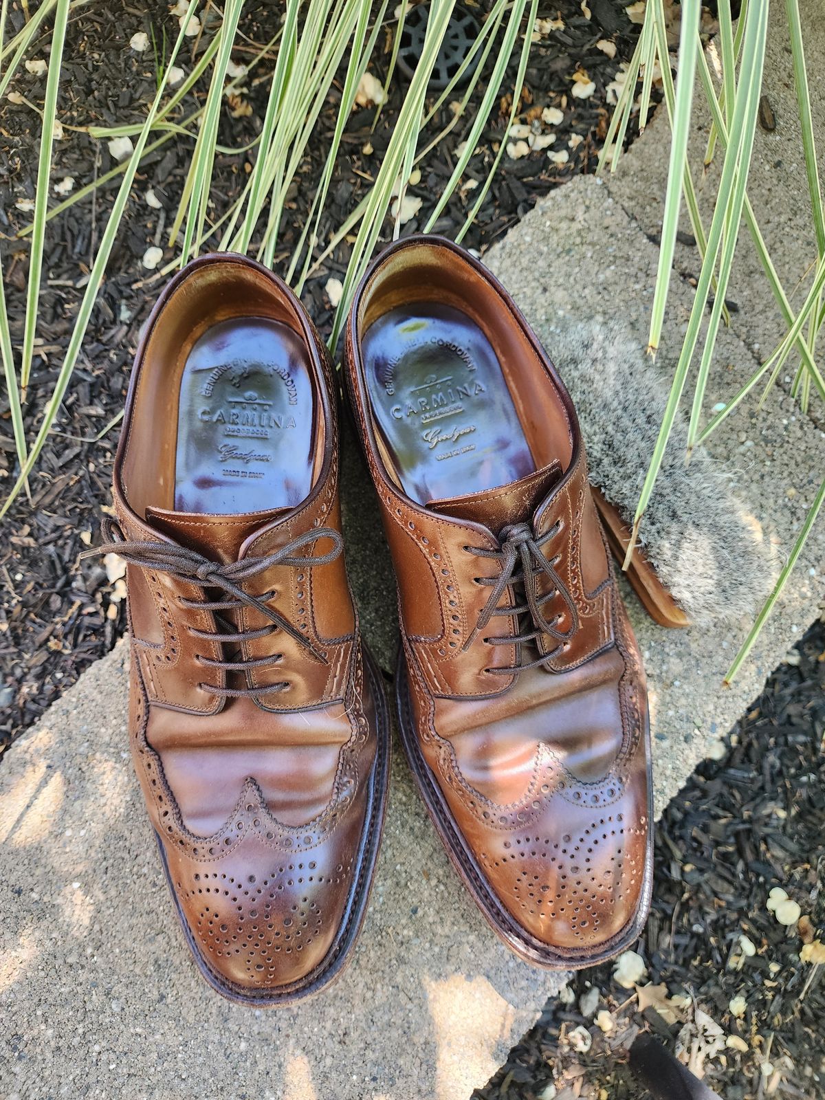 Photo by Janbiya on April 4, 2026 of the Carmina Long Wing Blucher Shoes 532 in Horween Armagnac Shell Cordovan.