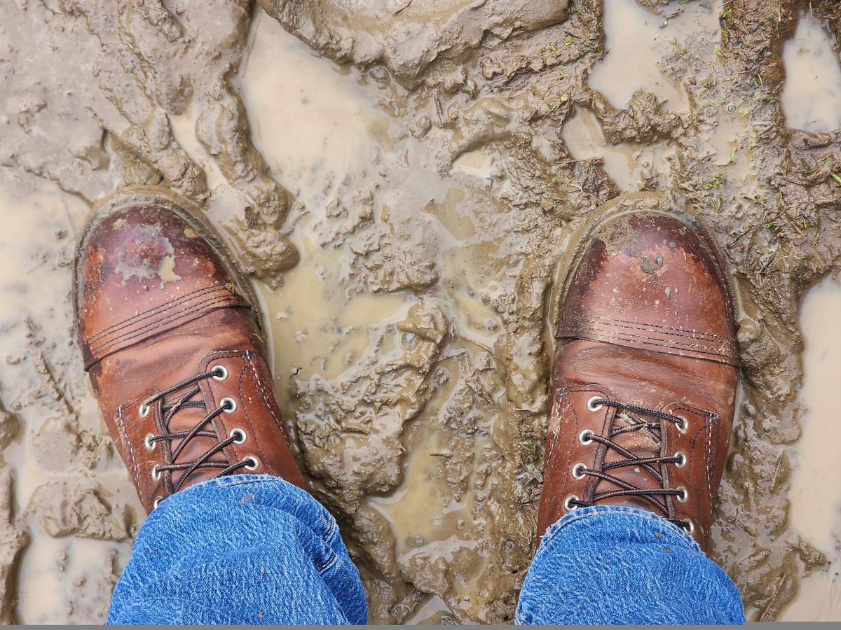 Photo by Janbiya on December 25, 2024 of the Red Wing Iron Ranger in S.B. Foot Amber Harness.