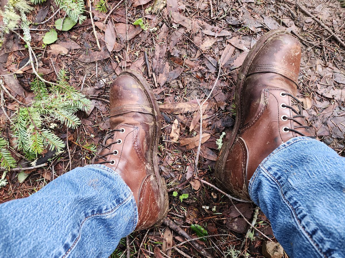 Photo by Janbiya on December 25, 2024 of the Red Wing Iron Ranger in S.B. Foot Amber Harness.