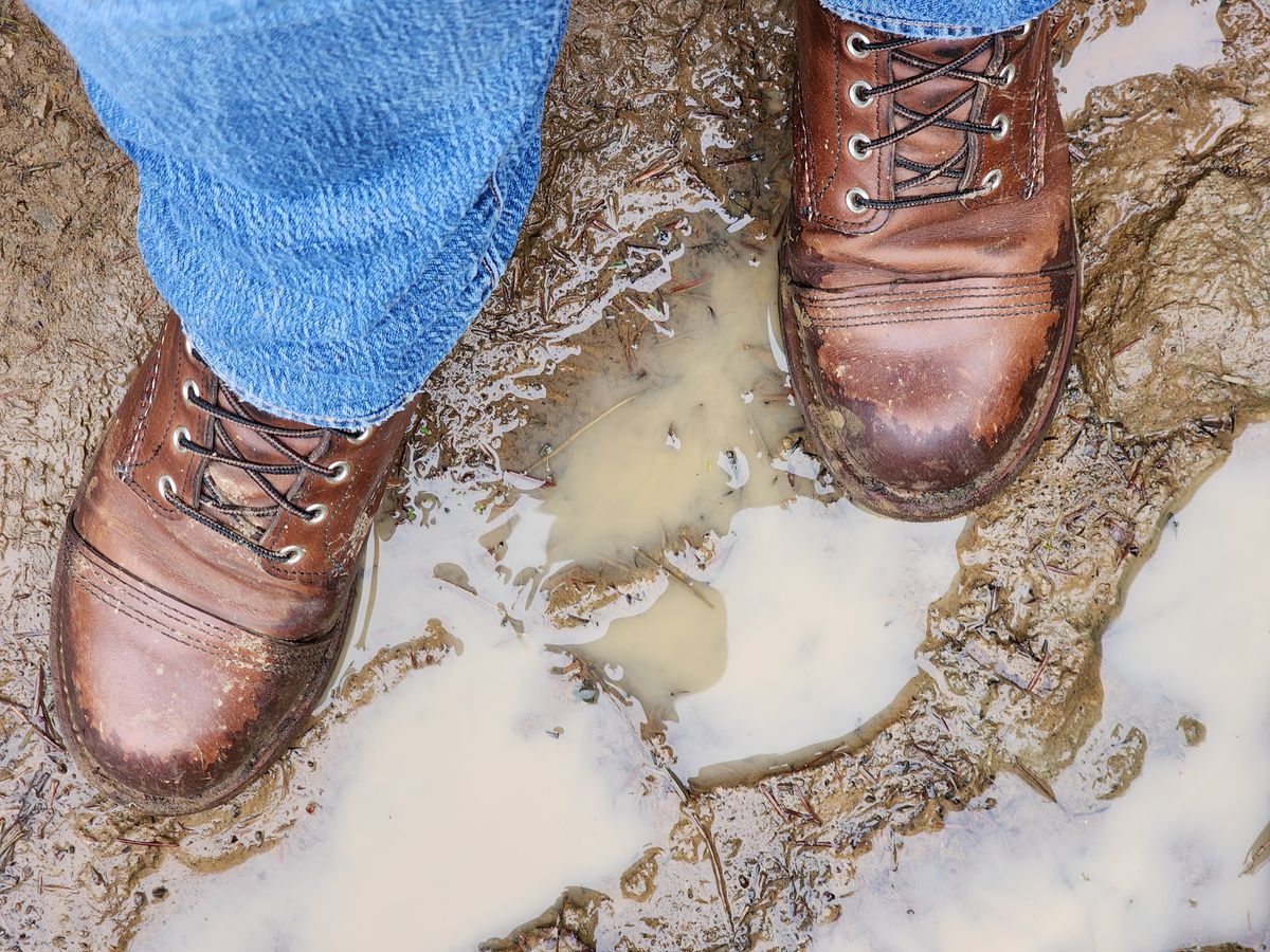 Photo by Janbiya on December 25, 2024 of the Red Wing Iron Ranger in S.B. Foot Amber Harness.