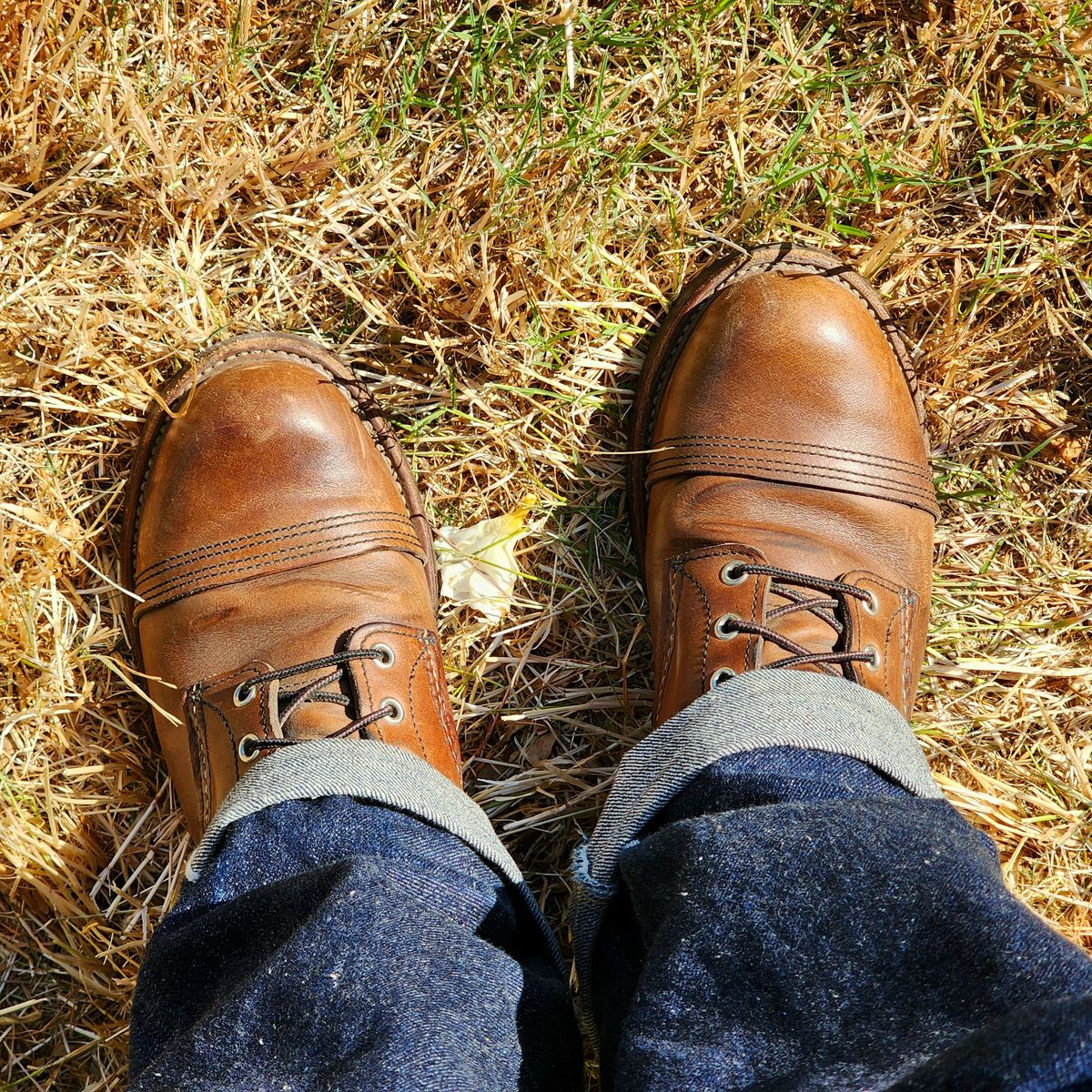 Photo by Janbiya on June 24, 2025 of the Red Wing Iron Ranger in S.B. Foot Amber Harness.