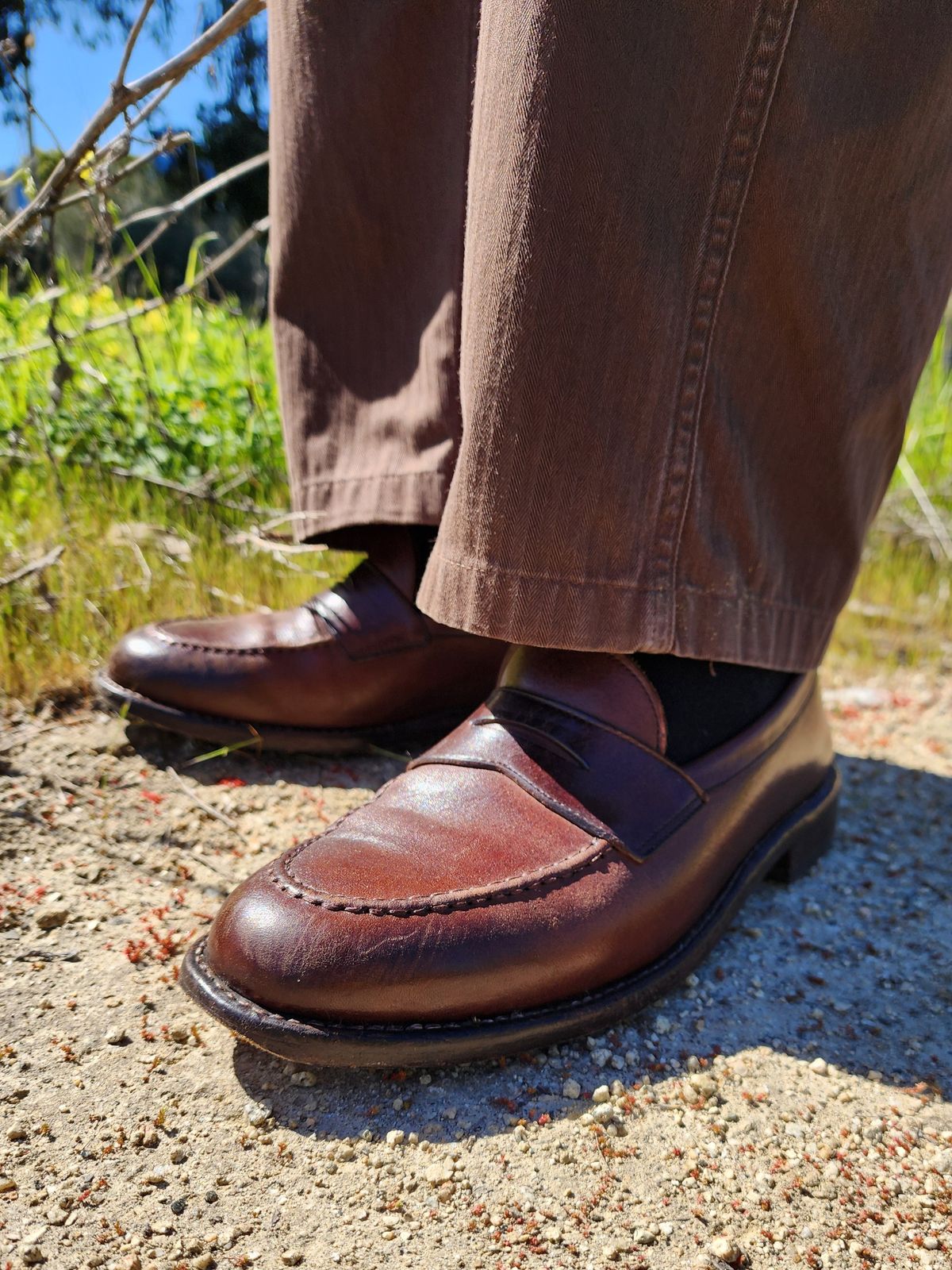 Photo by Janbiya on March 11, 2026 of the Gresgris Penny Loafer in European Horsehide (Tannery Unspecified).
