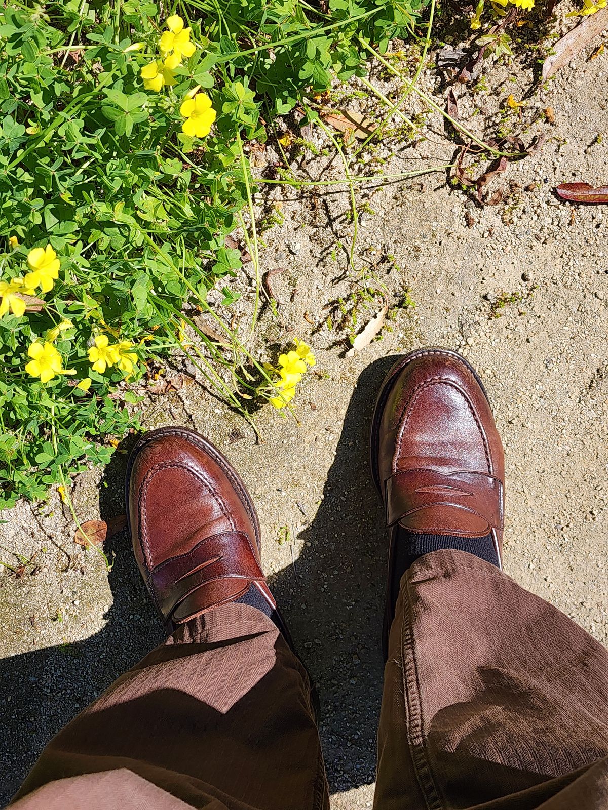Photo by Janbiya on March 11, 2026 of the Gresgris Penny Loafer in European Horsehide (Tannery Unspecified).