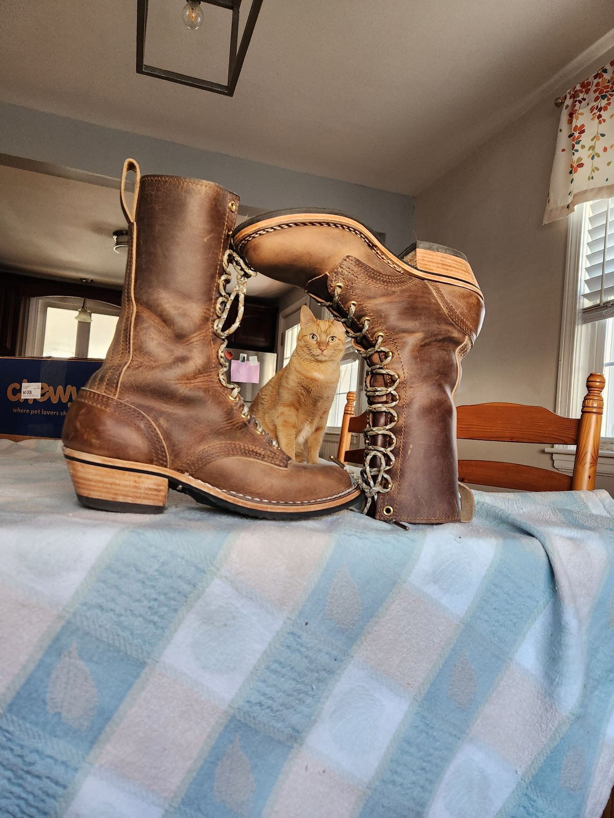 Photo by dufrau on December 3, 2025 of the Nicks Packer in Horween Predator Natural.