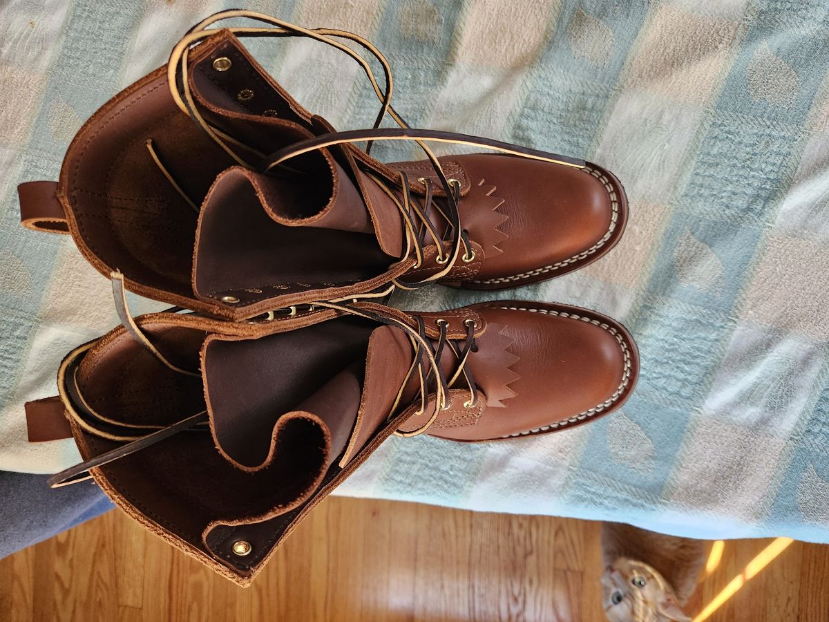 Photo by dufrau on October 9, 2024 of the Nicks Ranger in Seidel 1964 Brown.