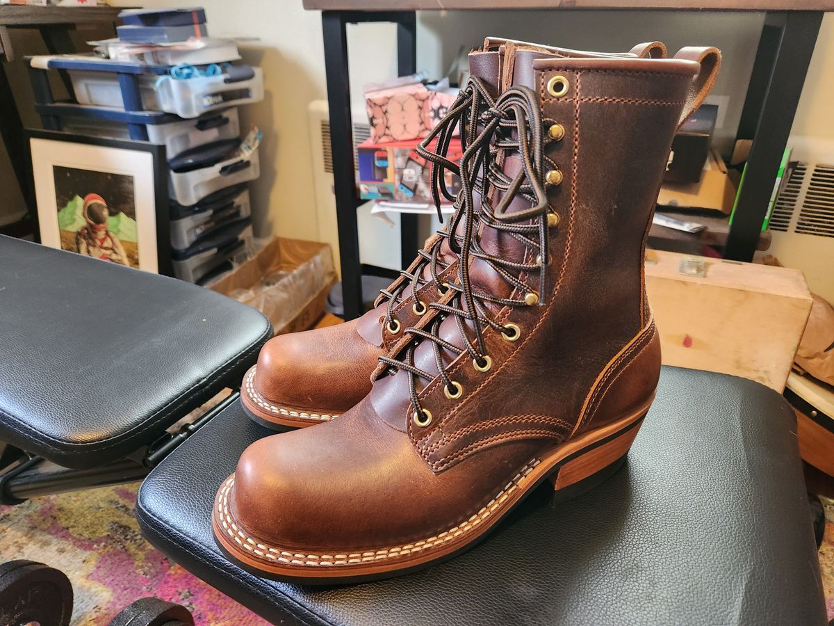 Photo by dufrau on May 2, 2025 of the Nicks Robert in Italian Brown Cypress.