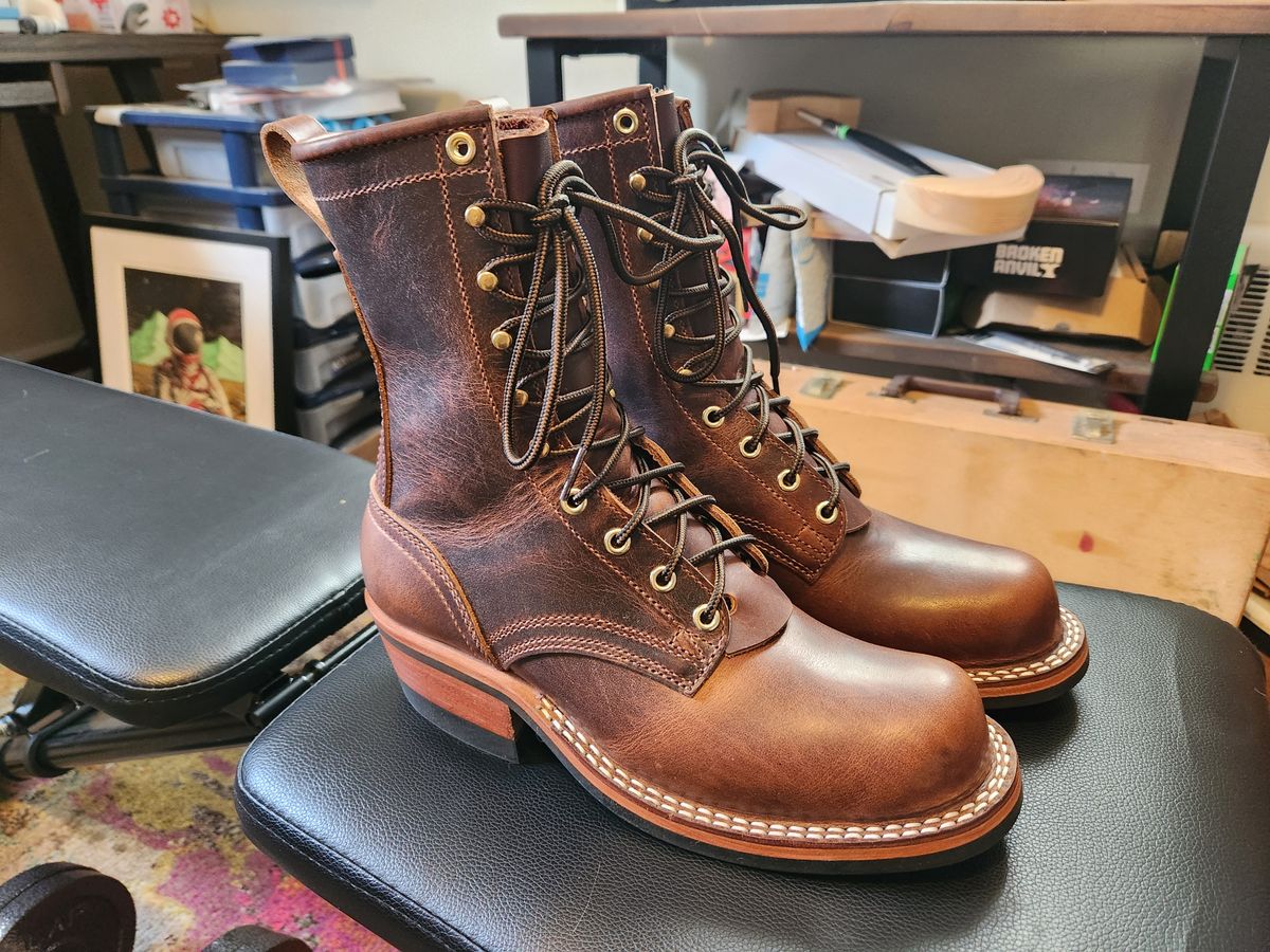 Photo by dufrau on May 2, 2025 of the Nicks Robert in Italian Brown Cypress.