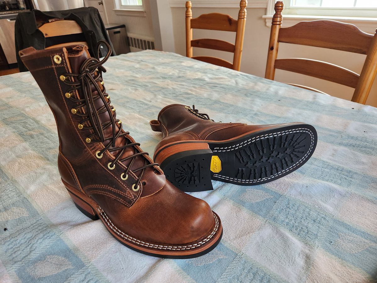 Photo by dufrau on May 2, 2025 of the Nicks Robert in Italian Brown Cypress.