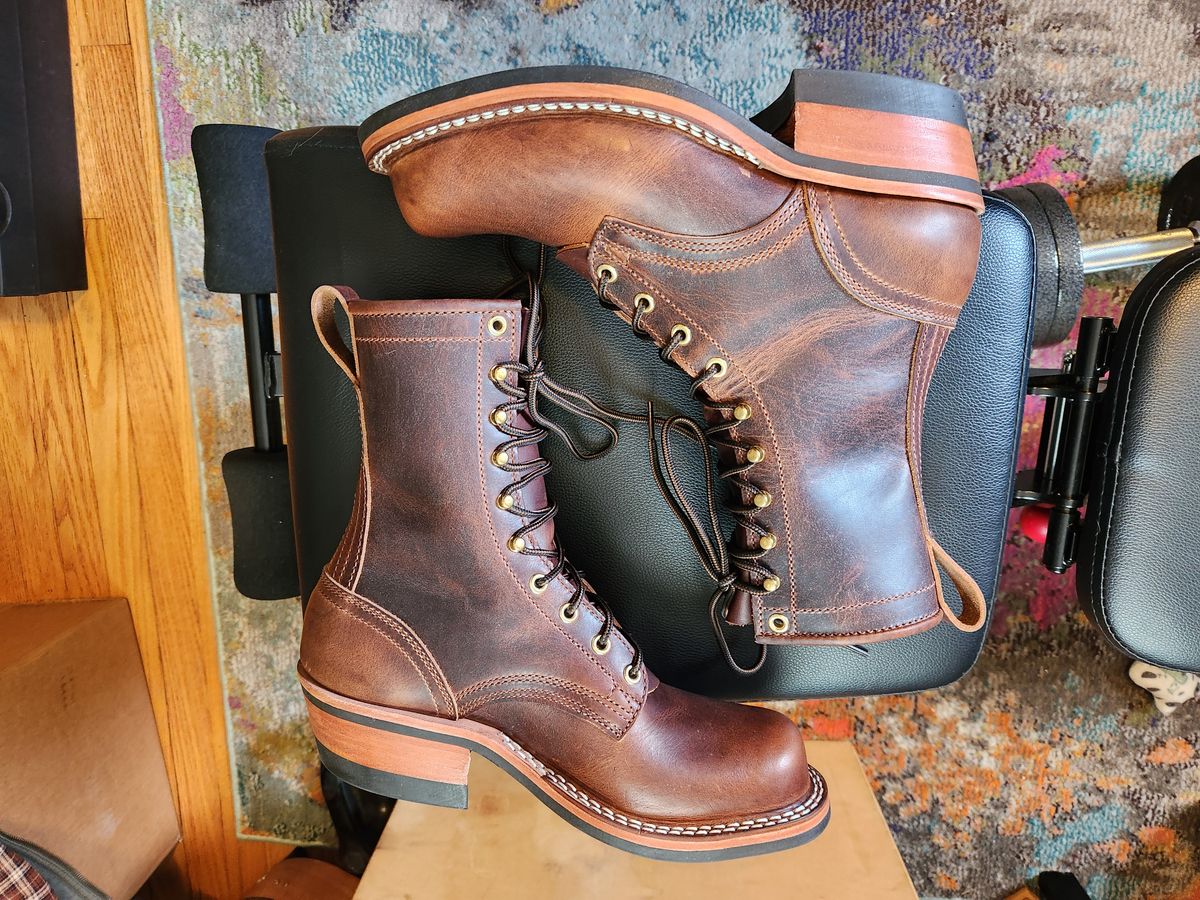 Photo by dufrau on May 2, 2025 of the Nicks Robert in Italian Brown Cypress.