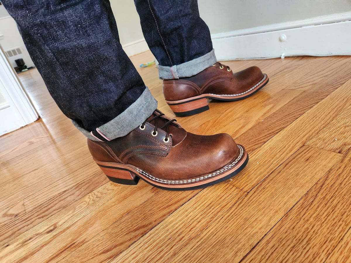 Photo by dufrau on May 2, 2025 of the Nicks Robert in Italian Brown Cypress.