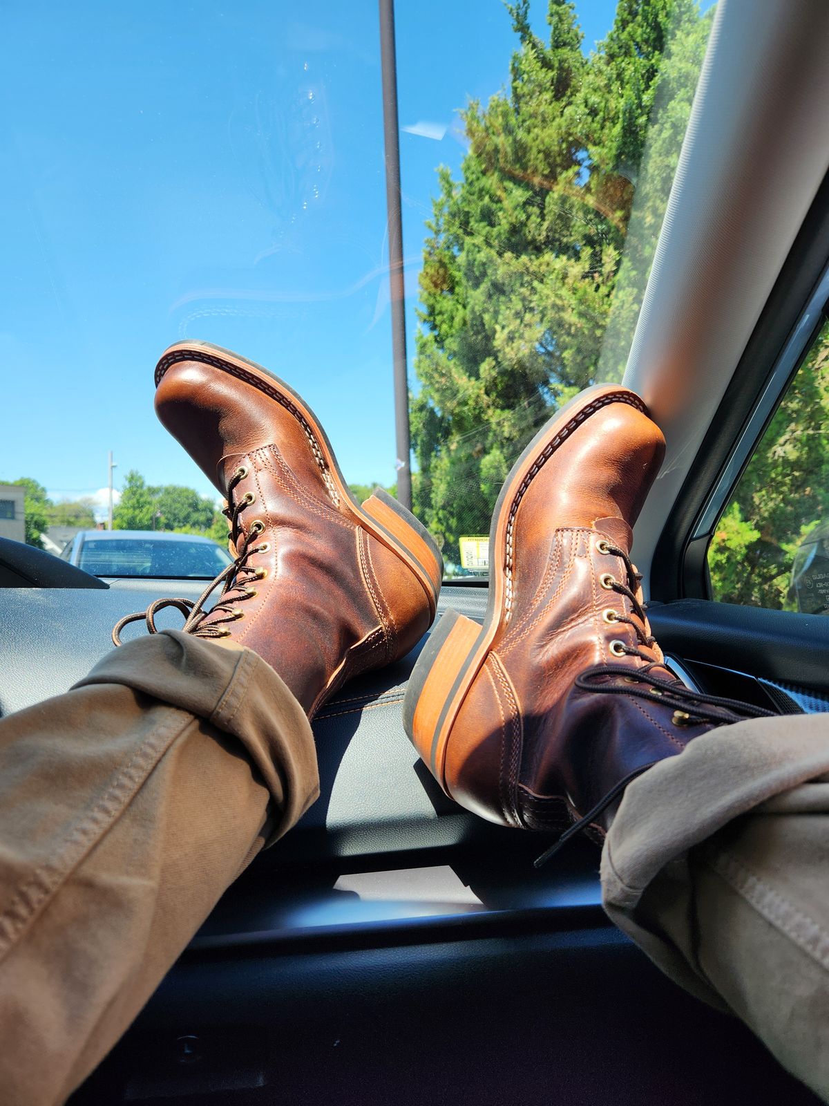 Photo by dufrau on May 26, 2025 of the Nicks Robert in Italian Brown Cypress.