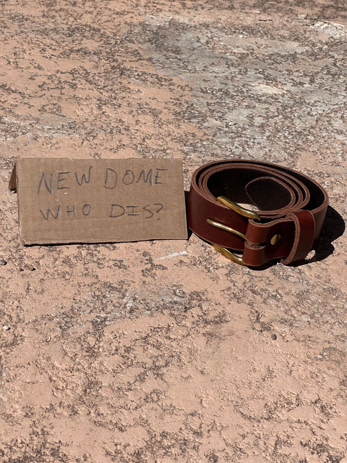 Photo by AndrewsBoots on October 1, 2025 of the Homestead Brand Essential Leather Belt No. 1508 in Distressed Brown.