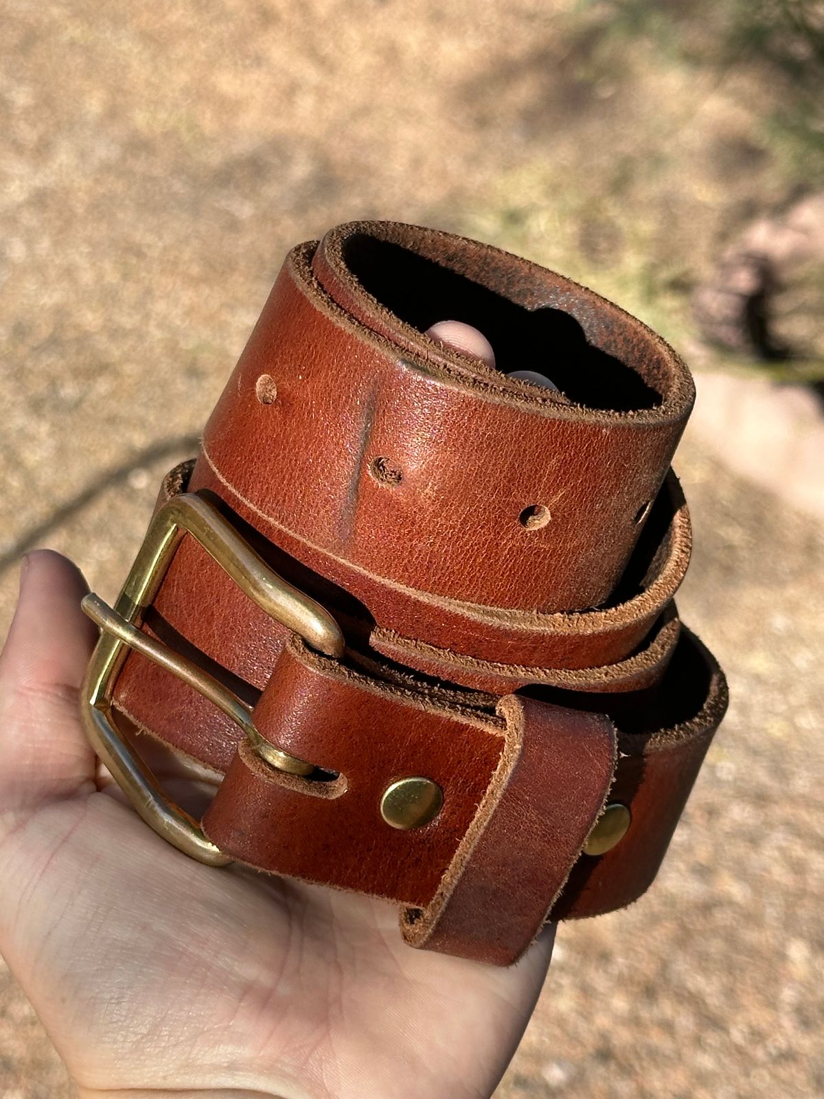 Photo by AndrewsBoots on November 1, 2025 of the Homestead Brand Essential Leather Belt No. 1508 in Distressed Brown Full Grain USA Tanned Latigo.