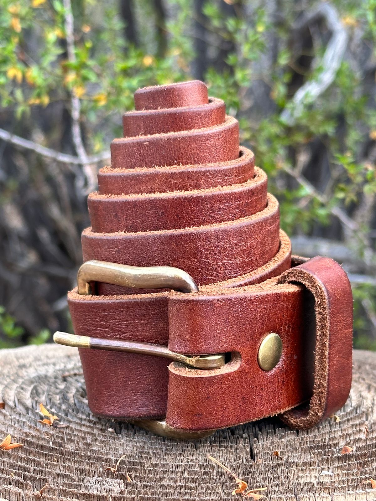 Photo by AndrewsBoots on January 1, 2026 of the Homestead Brand Essential Leather Belt No. 1508 in Distressed Brown Full Grain USA Tanned Latigo.