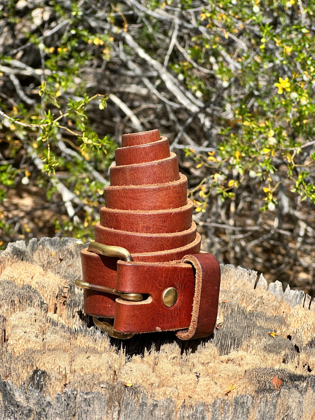 Photo by AndrewsBoots on March 1, 2026 of the Homestead Brand Essential Leather Belt No. 1508 in Distressed Brown Full Grain USA Tanned Latigo.