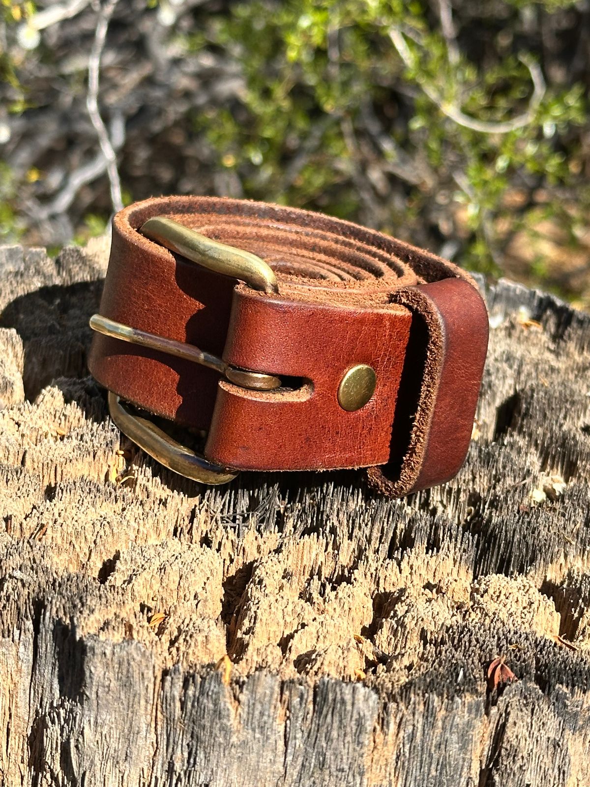 Photo by AndrewsBoots on April 4, 2026 of the Homestead Brand Essential Leather Belt No. 1508 in Distressed Brown Full Grain USA Tanned Latigo.