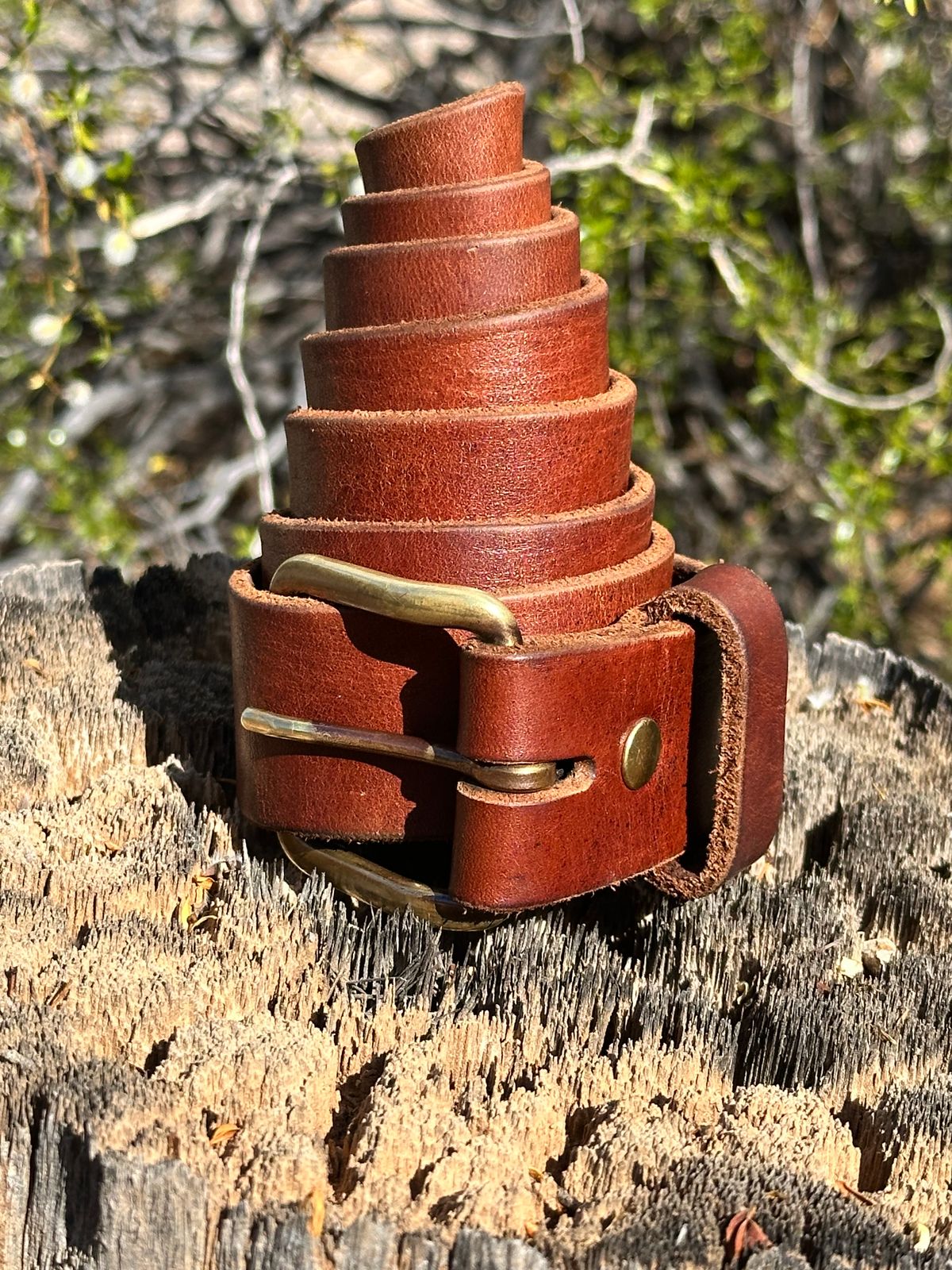 Photo by AndrewsBoots on April 4, 2026 of the Homestead Brand Essential Leather Belt No. 1508 in Distressed Brown Full Grain USA Tanned Latigo.