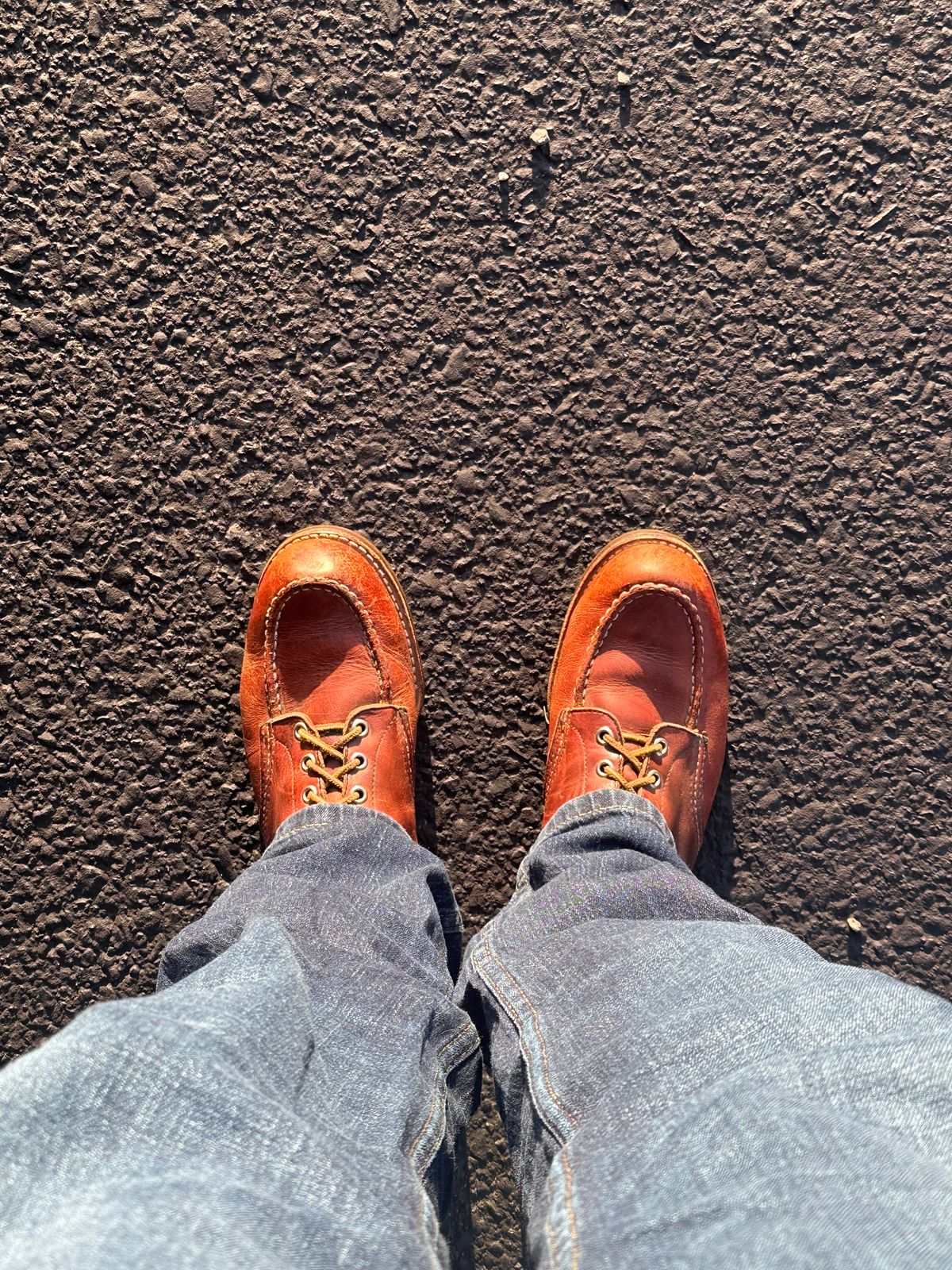 Photo by AndrewsBoots on December 6, 2024 of the Red Wing 214 in S.B. Foot Oxblood Mesa.