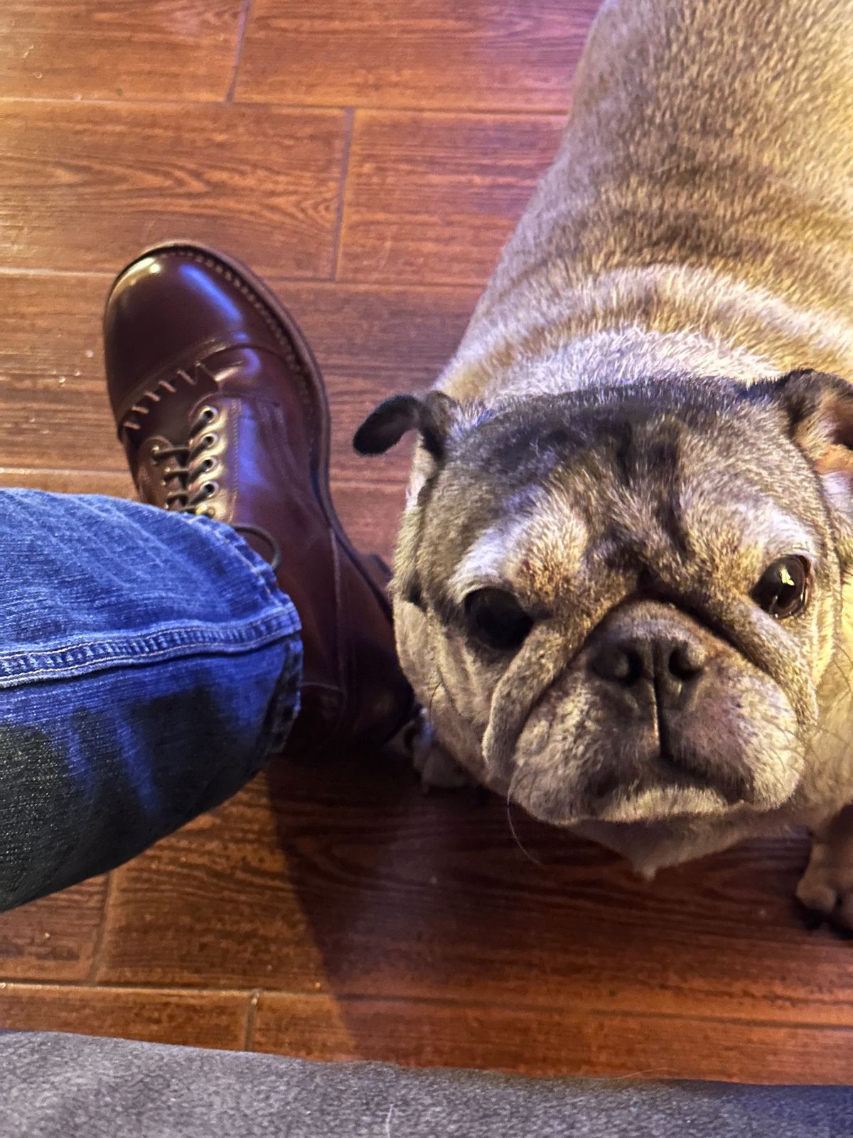 Photo by AndrewsBoots on October 30, 2025 of the Drew's Boots 8-inch Contractor Toe Cap in Brown Cyclone.