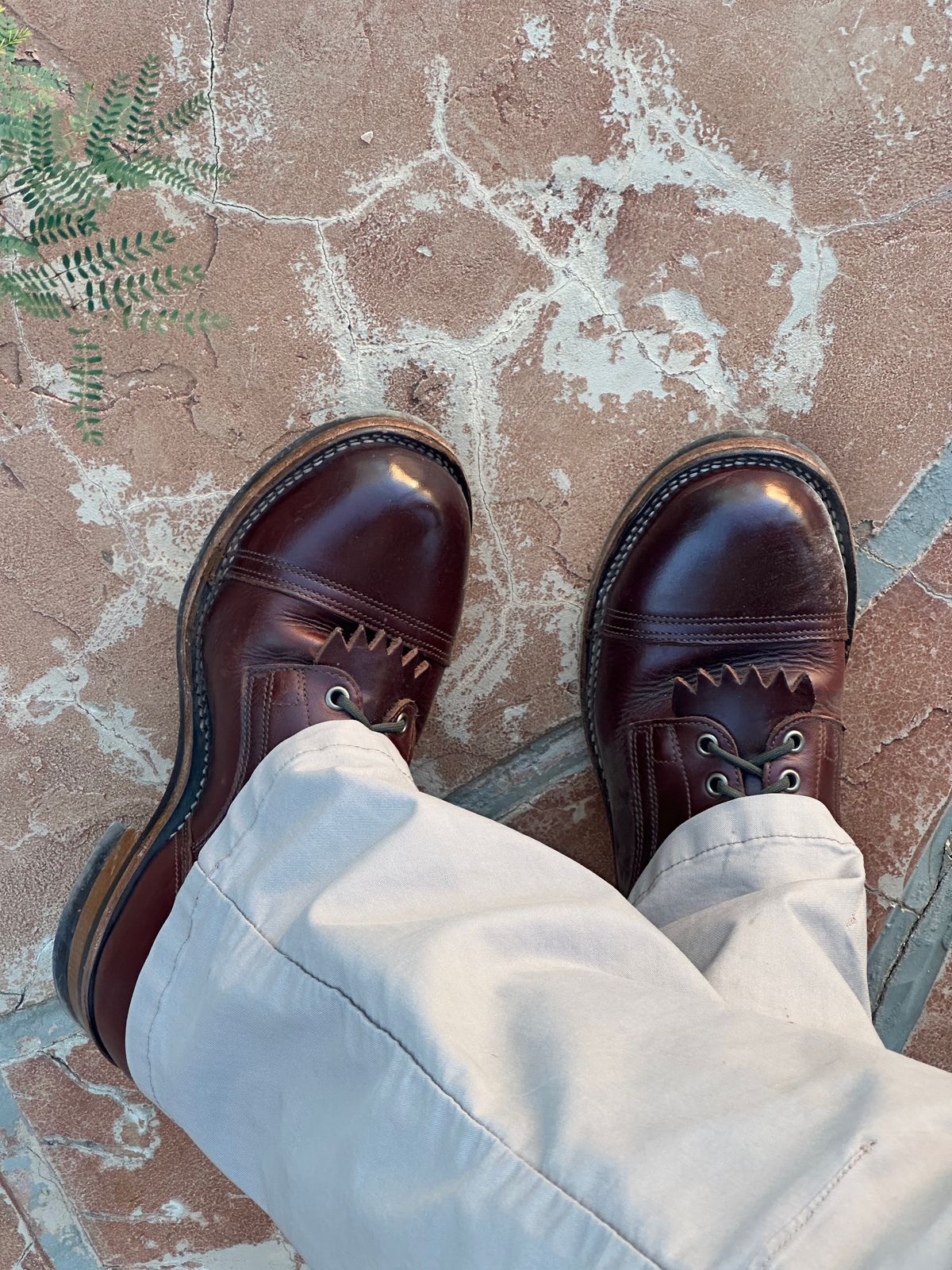 Photo by AndrewsBoots on November 4, 2025 of the Drew's Boots 8-inch Contractor Toe Cap in Brown Cyclone.