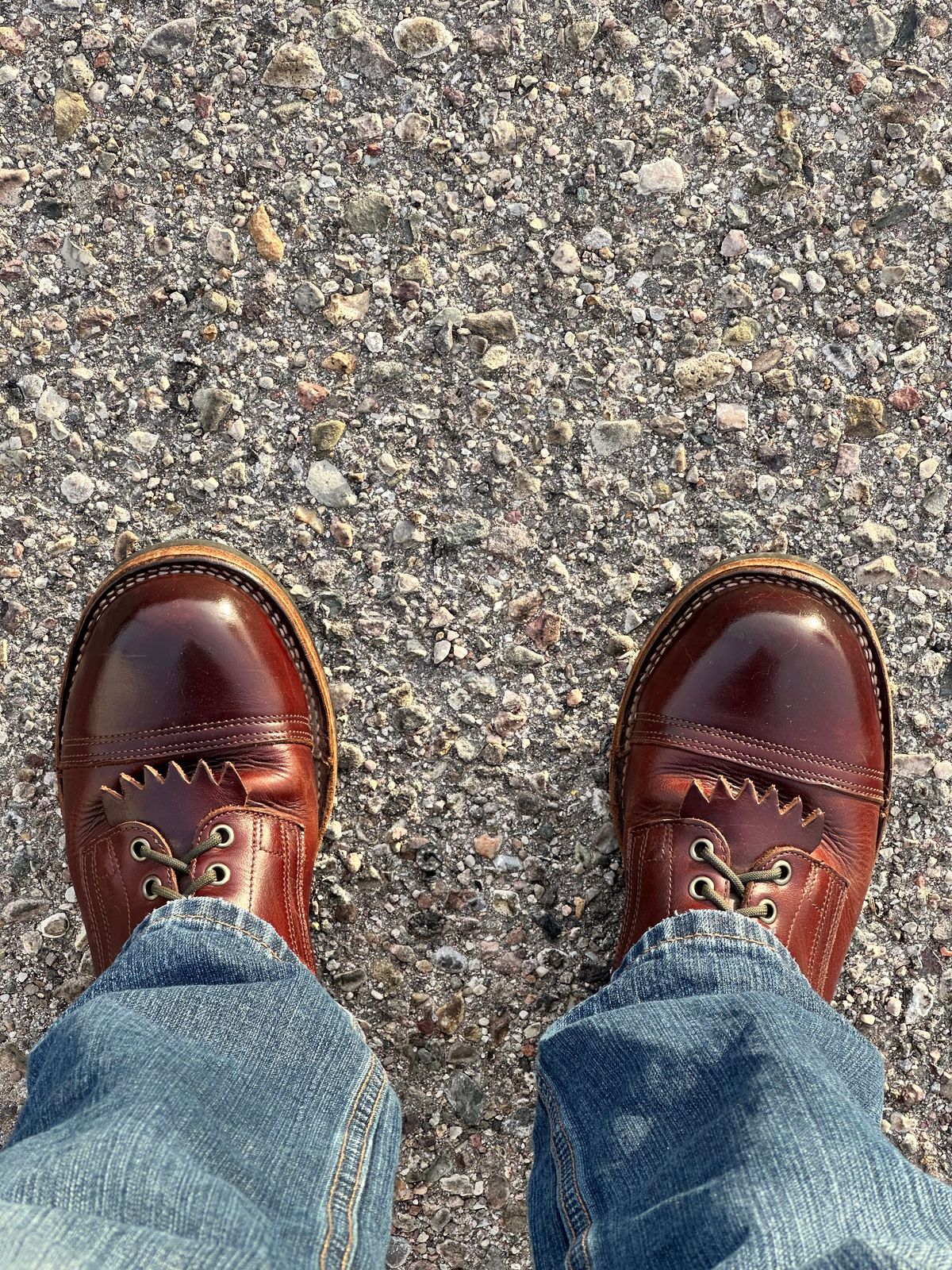 Photo by AndrewsBoots on January 3, 2026 of the Drew's Boots 8-inch Contractor Toe Cap in Brown Cyclone.