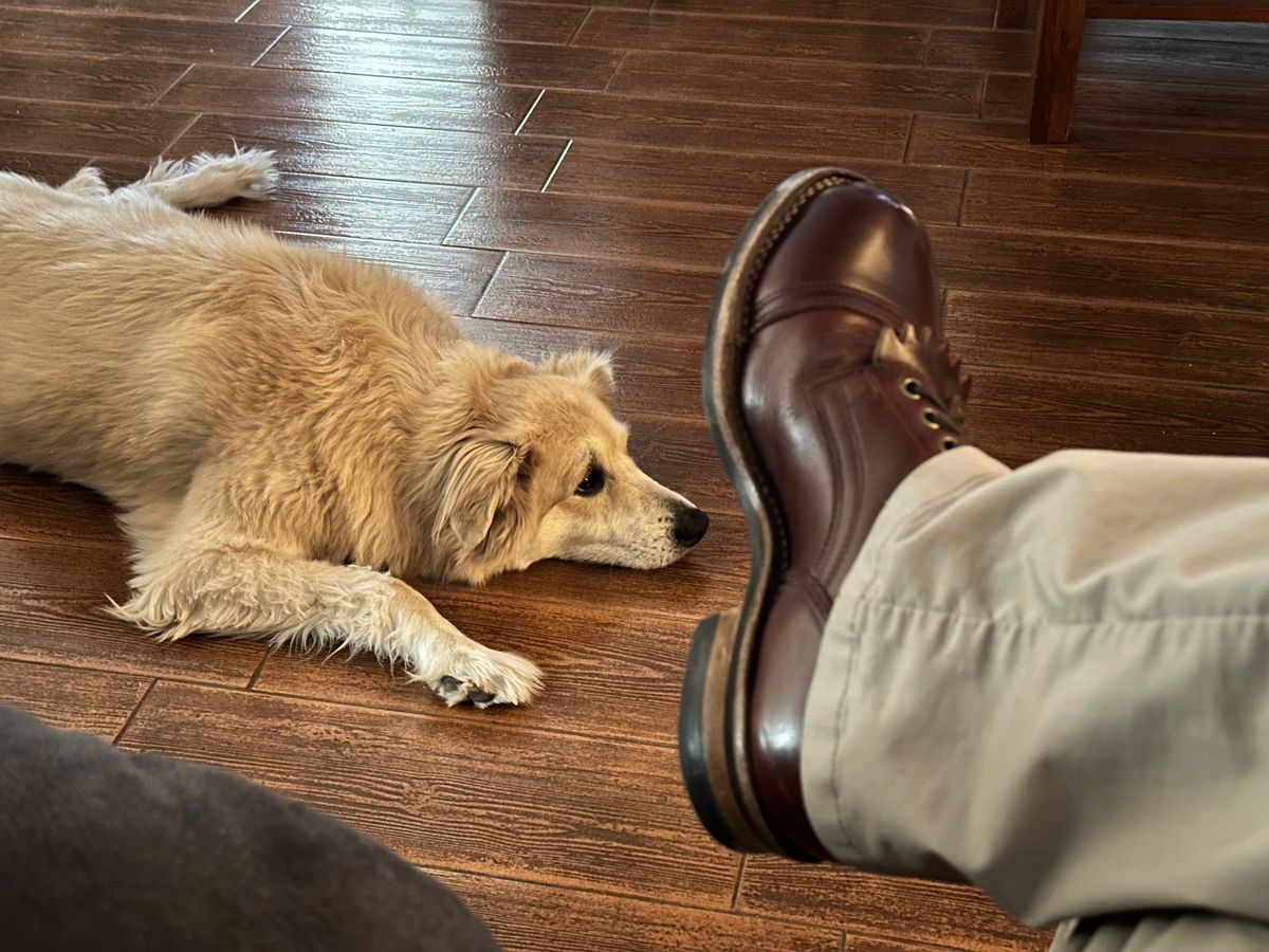 Photo by AndrewsBoots on March 18, 2026 of the Drew's Boots 8-inch Contractor Toe Cap in Brown Cyclone.