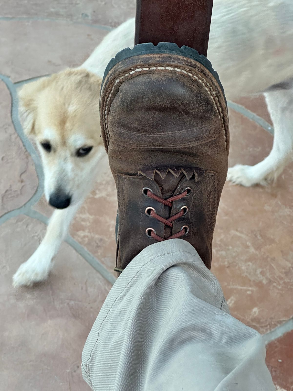 Photo by AndrewsBoots on November 15, 2025 of the White's Custom Model in Horween Cinnamon Waxed Flesh.